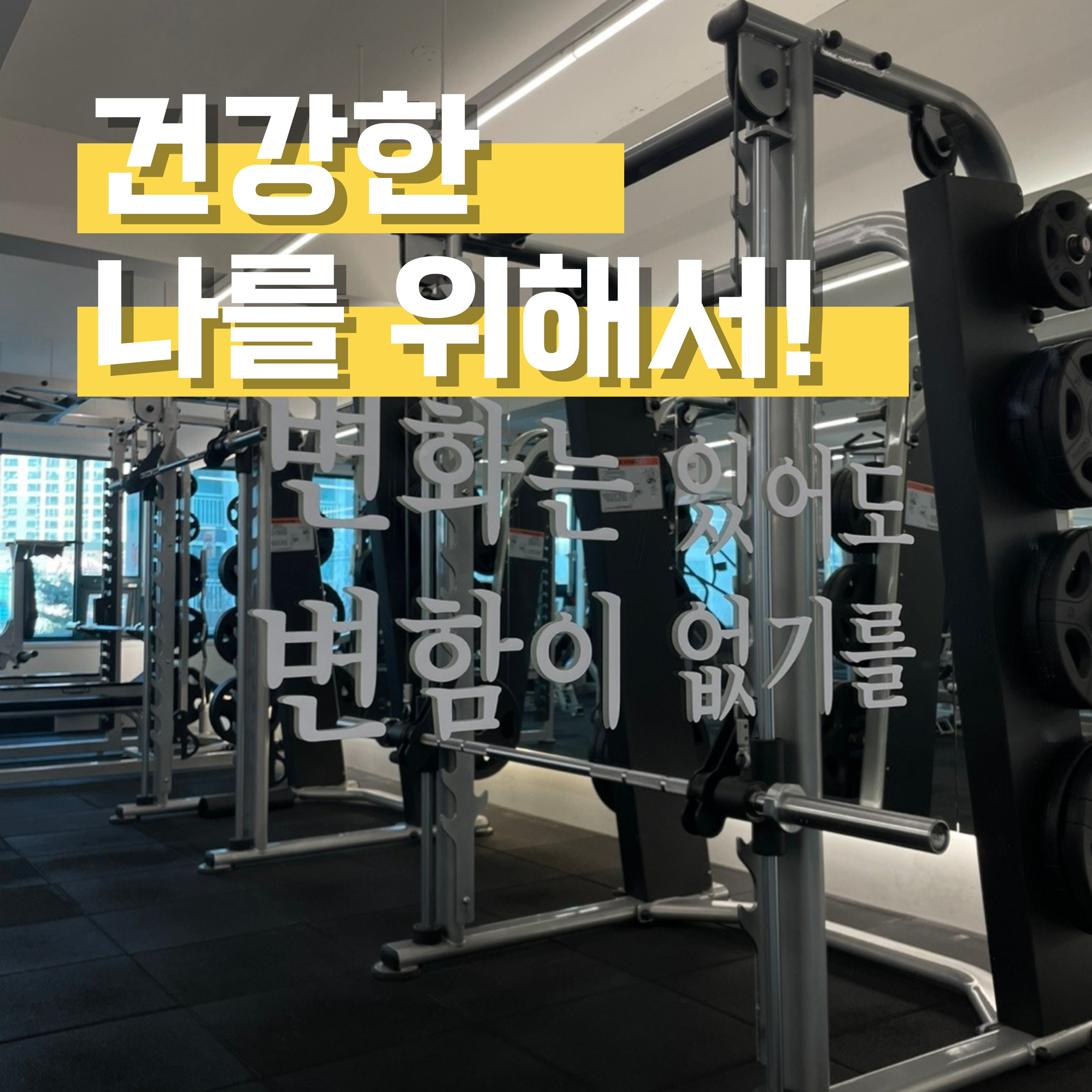 휘트니스플레이스 구리인창점