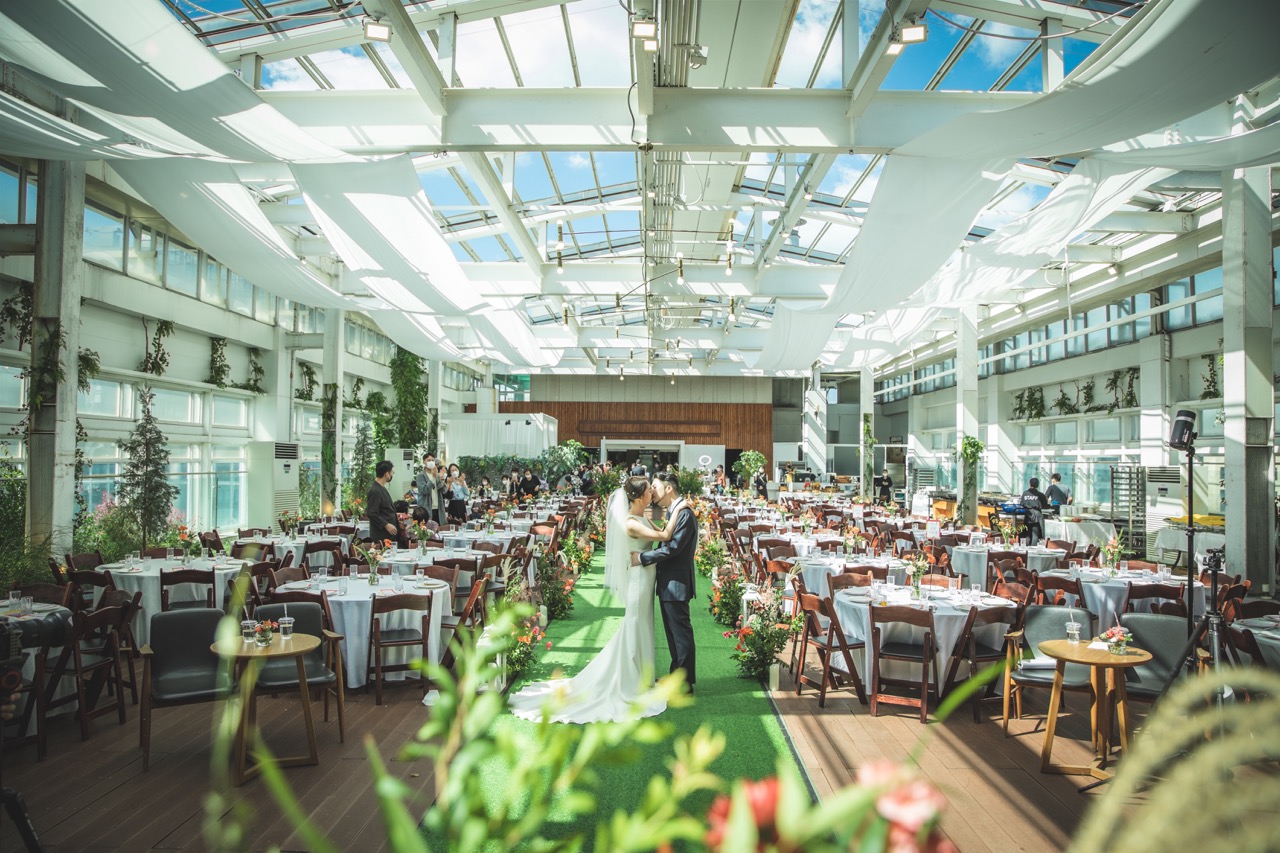 온즈드롬 대표 이미지