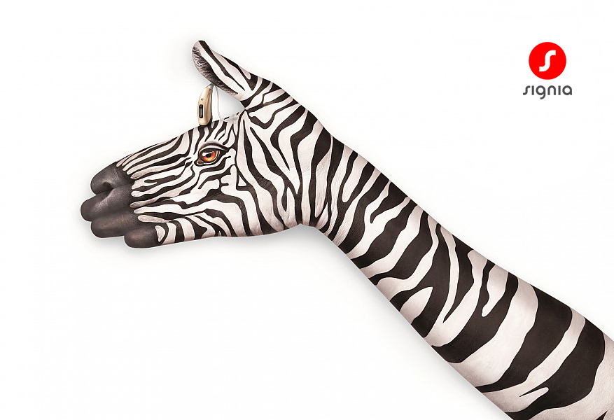 독일 시그니아 보청기 서대문 센터 대표 이미지