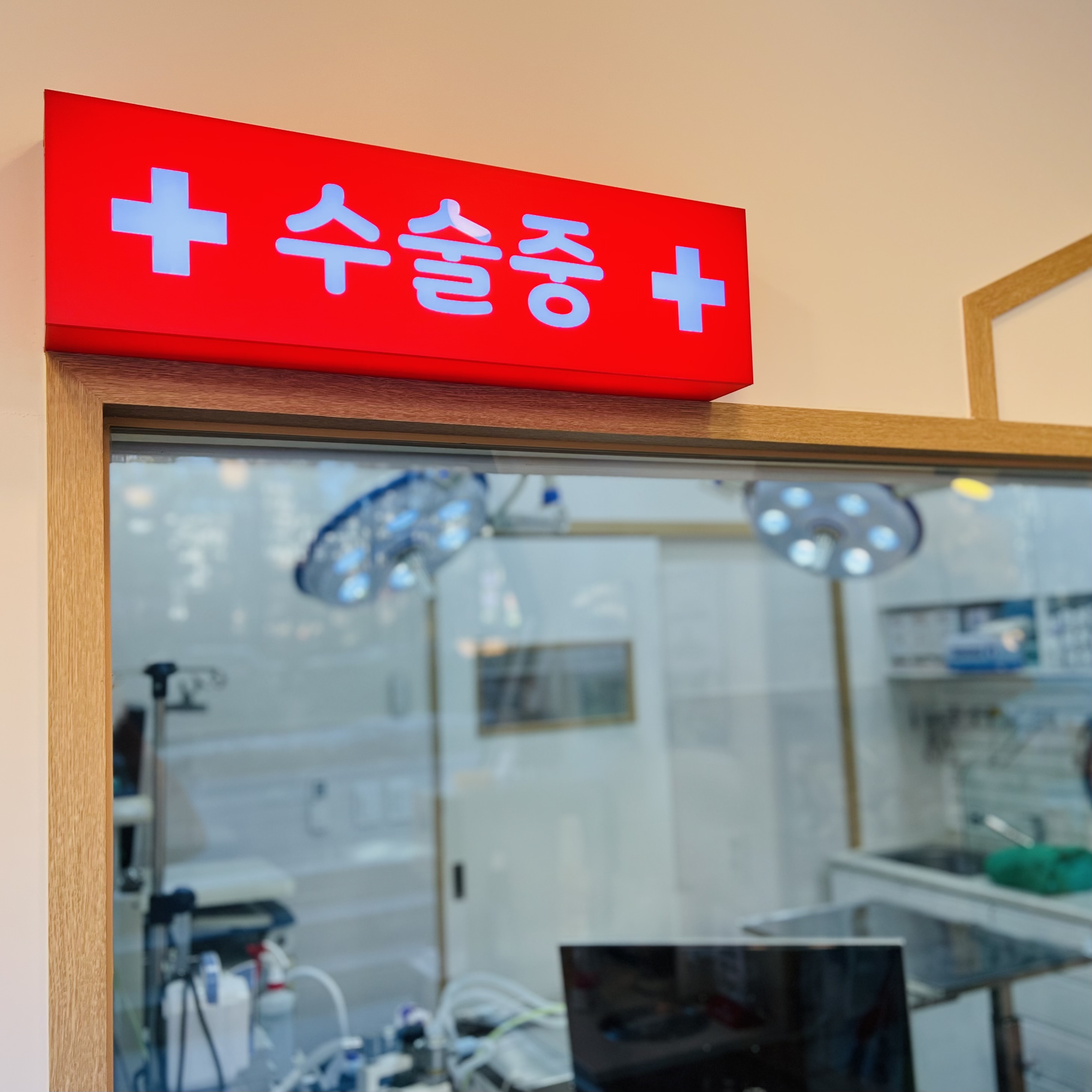 수원오즈동물병원