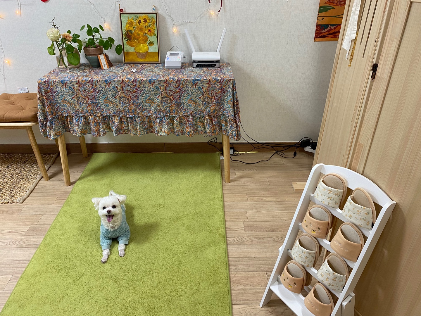 라 플로르