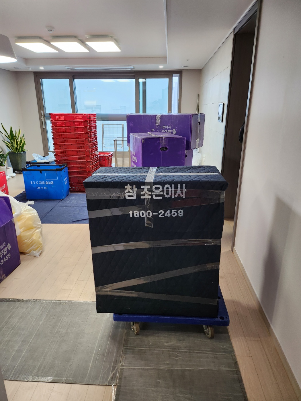 참조은이사