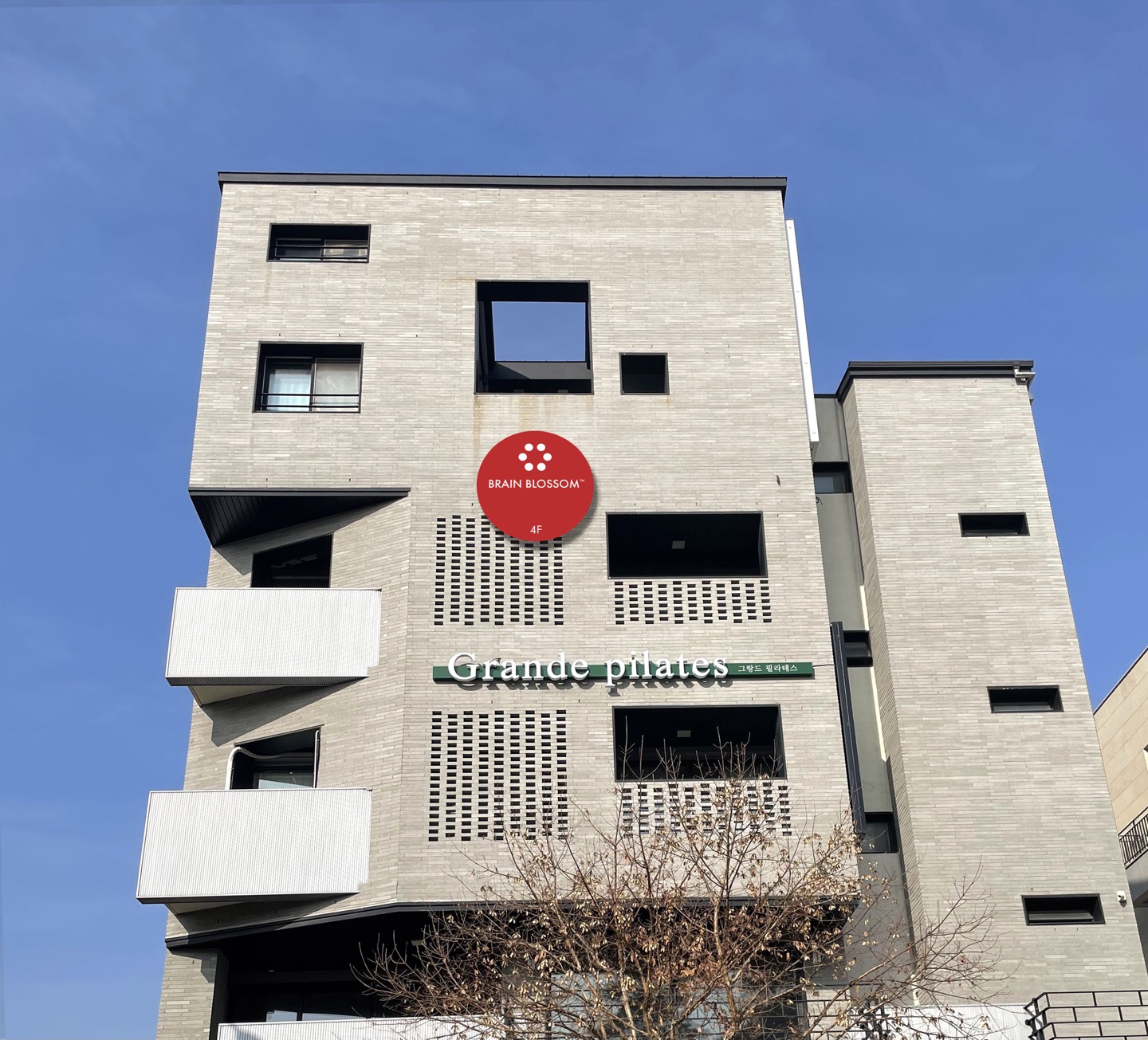 브레인블러썸