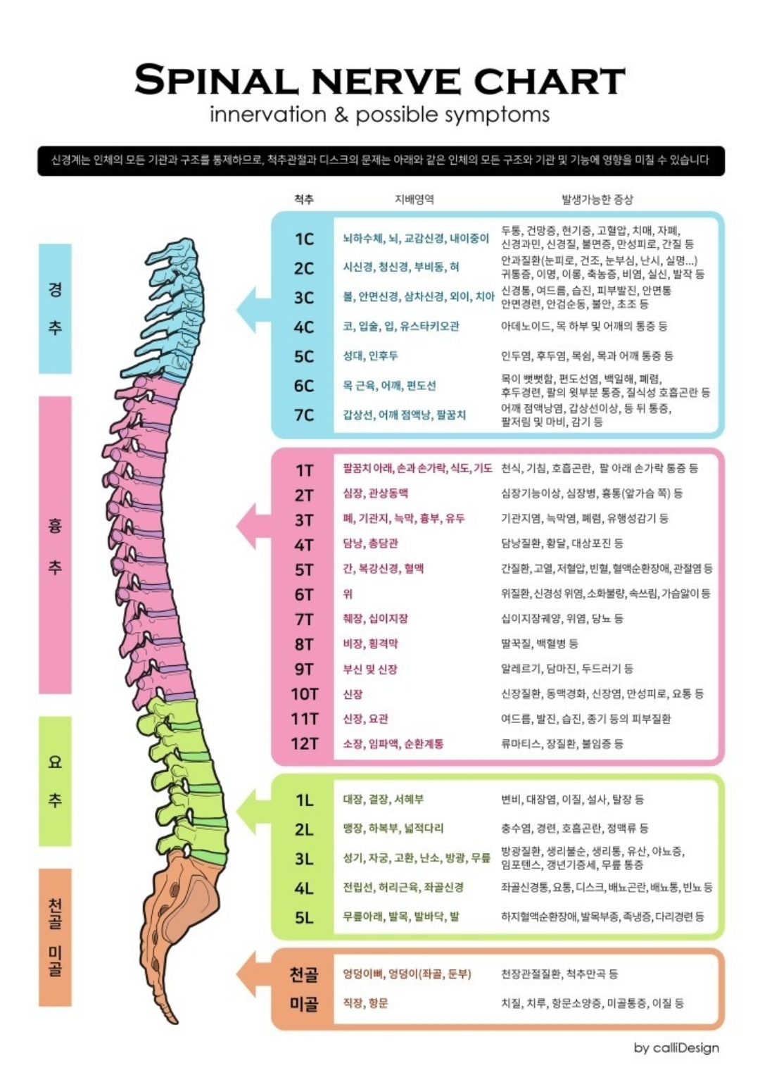 더케어 photo 2
