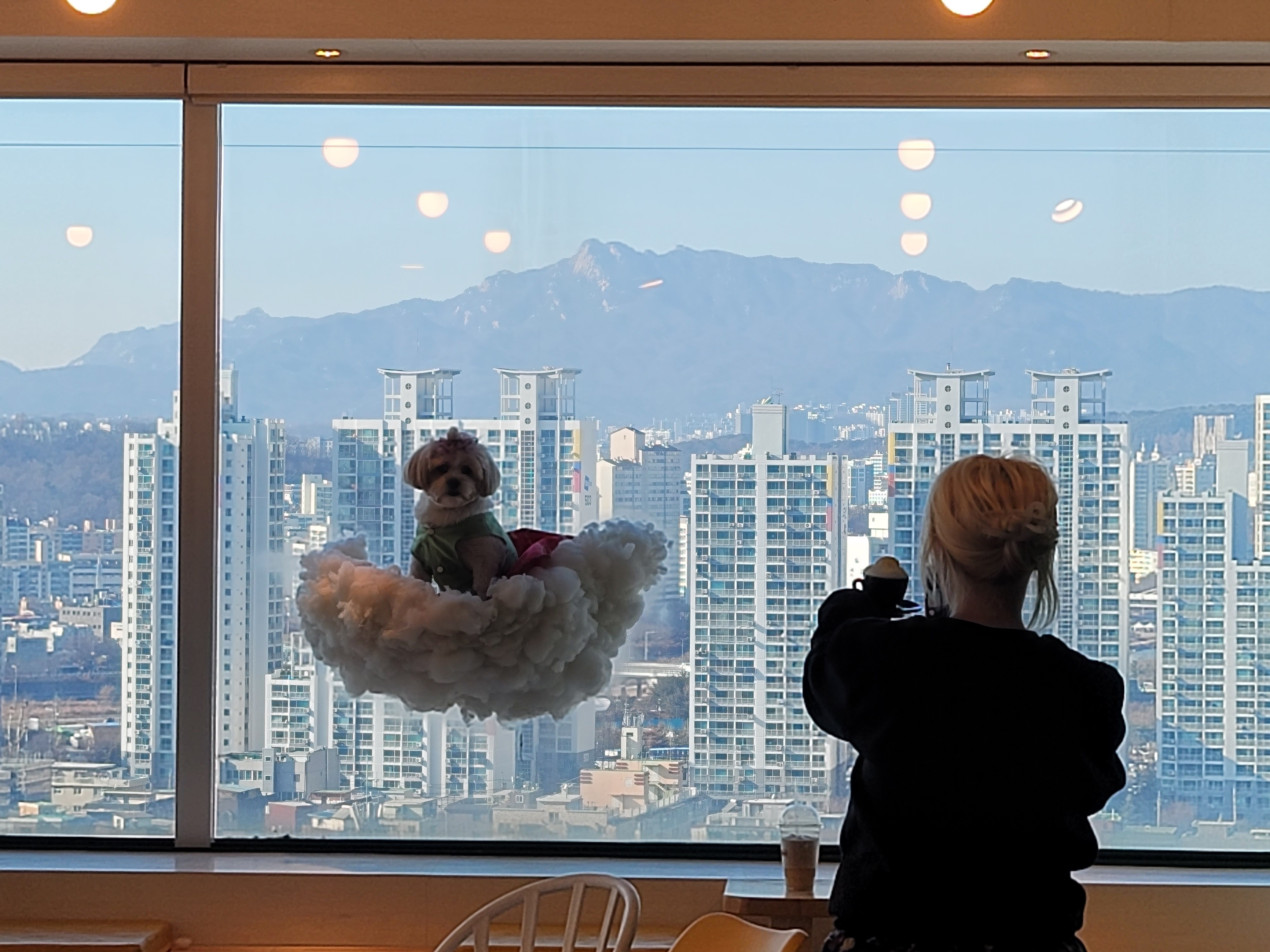 똥강아지카페 대표 이미지