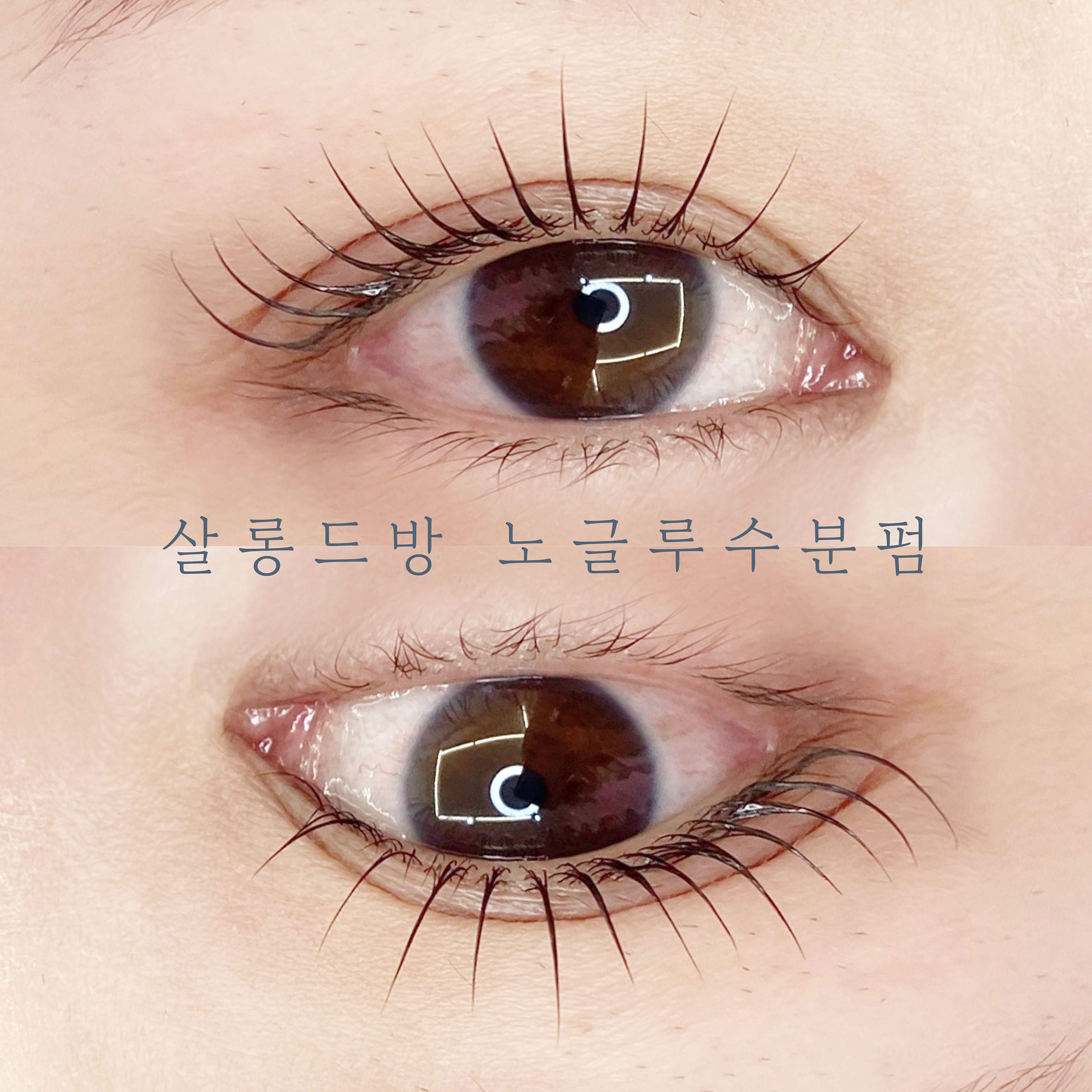 살롱드방