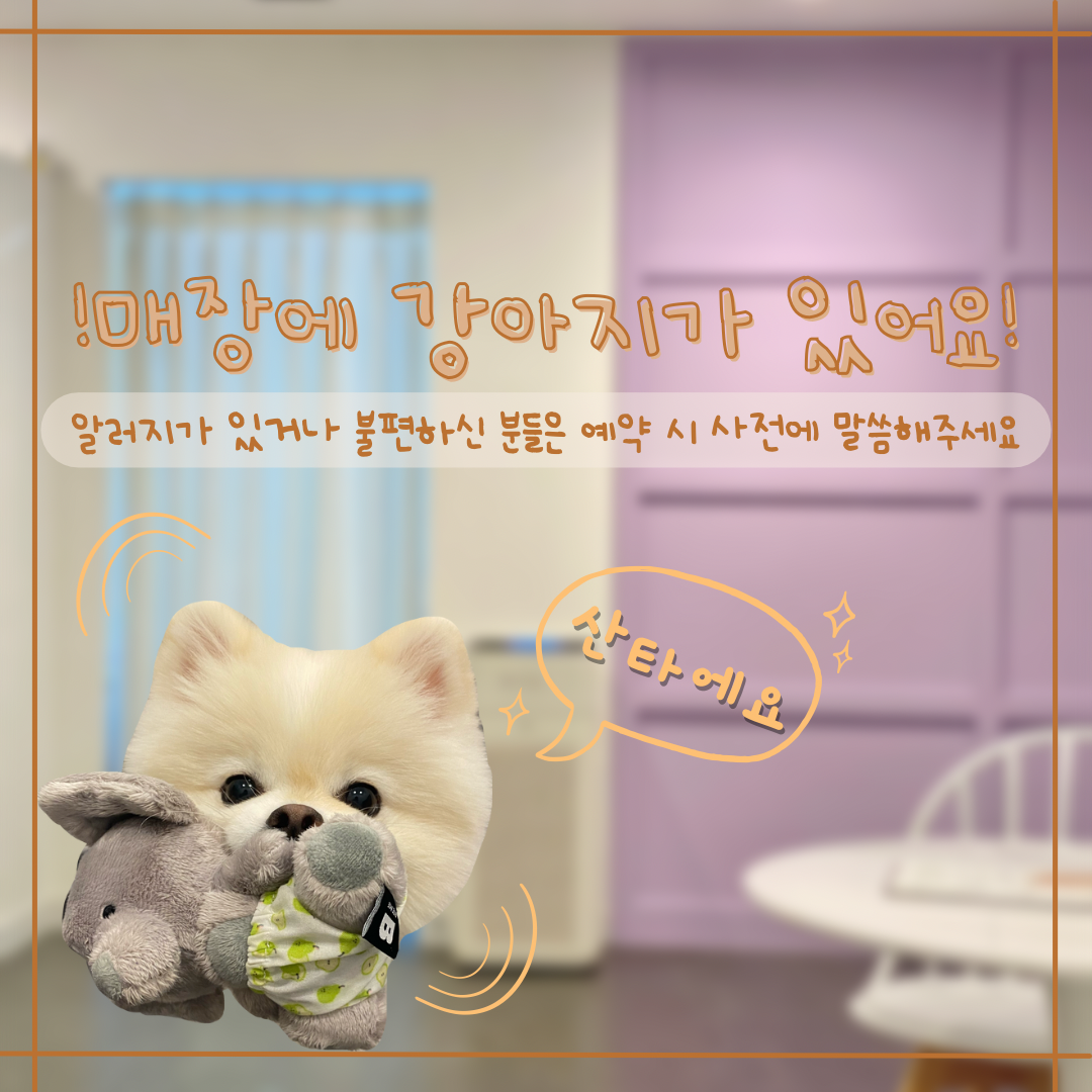 쥬레브 대표 이미지