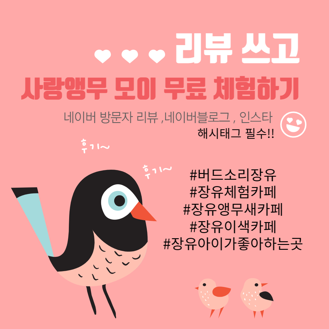 버드소리 앵무새카페 장유점