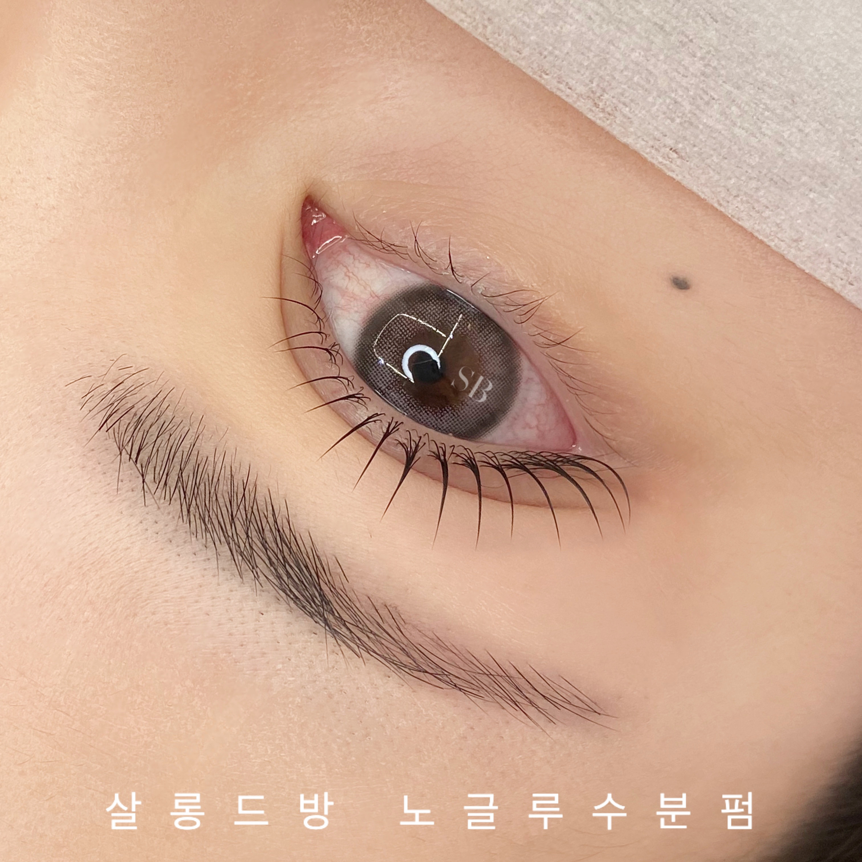 살롱드방