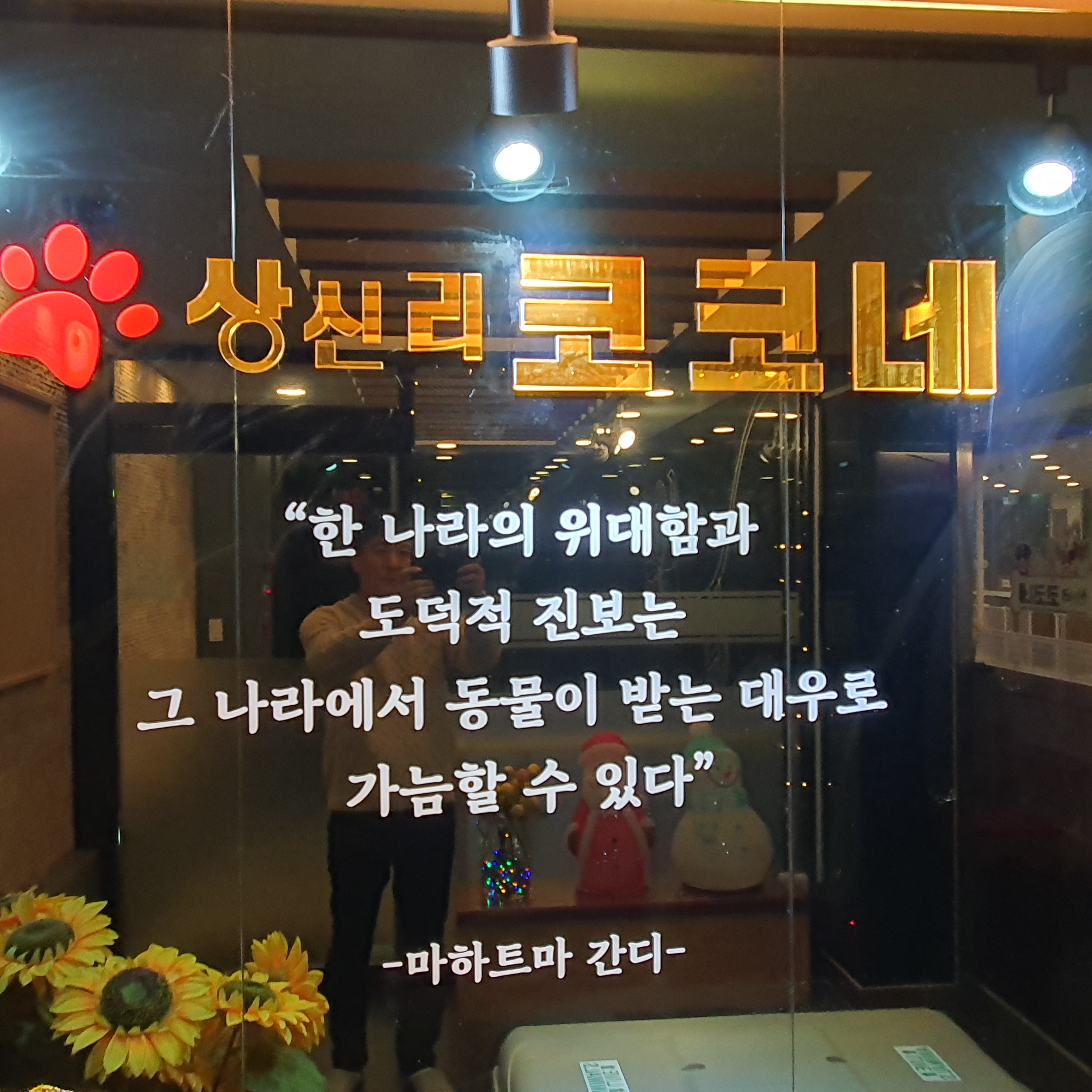 상신리코코네 대표 이미지