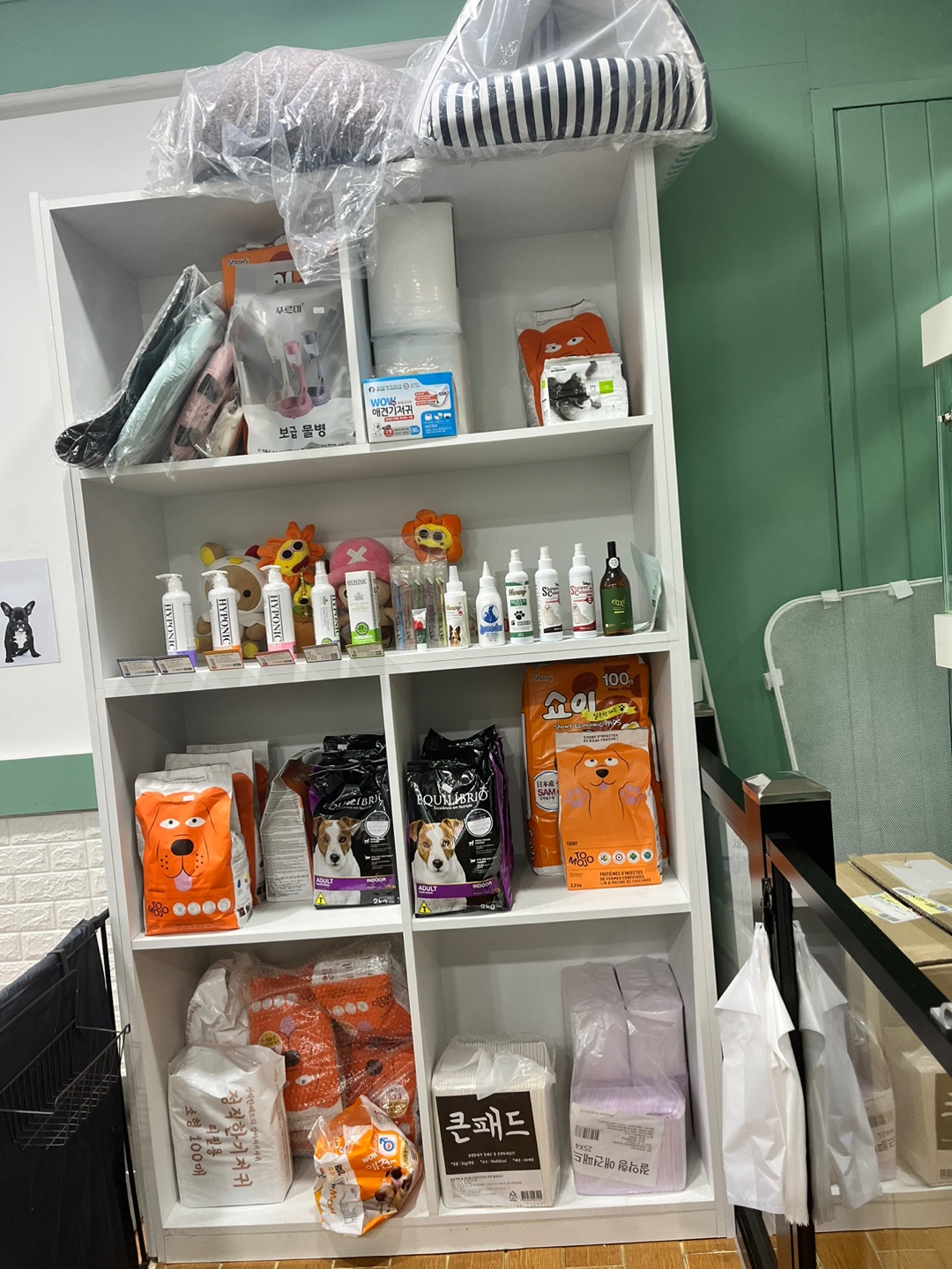 로즈퍼피 대표 이미지