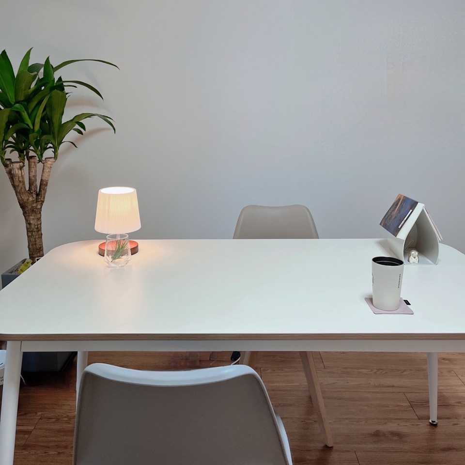 트라우마 인 소마 대표 이미지