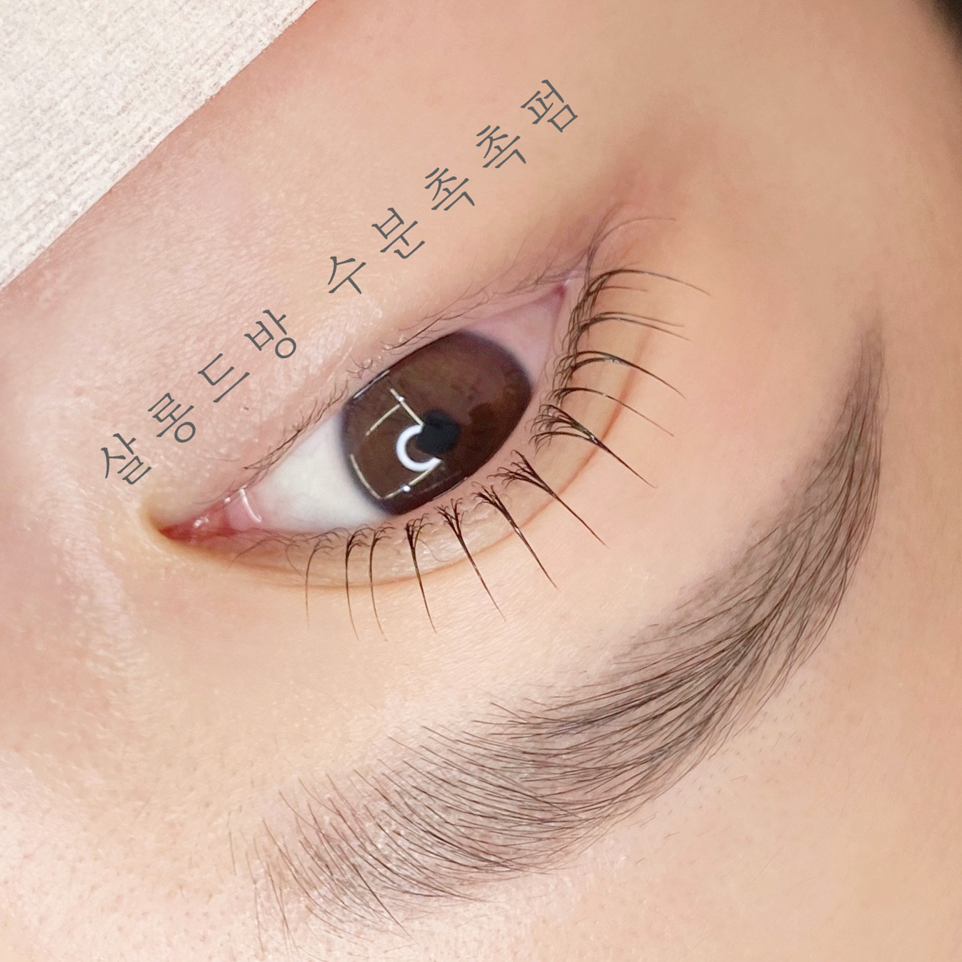 살롱드방