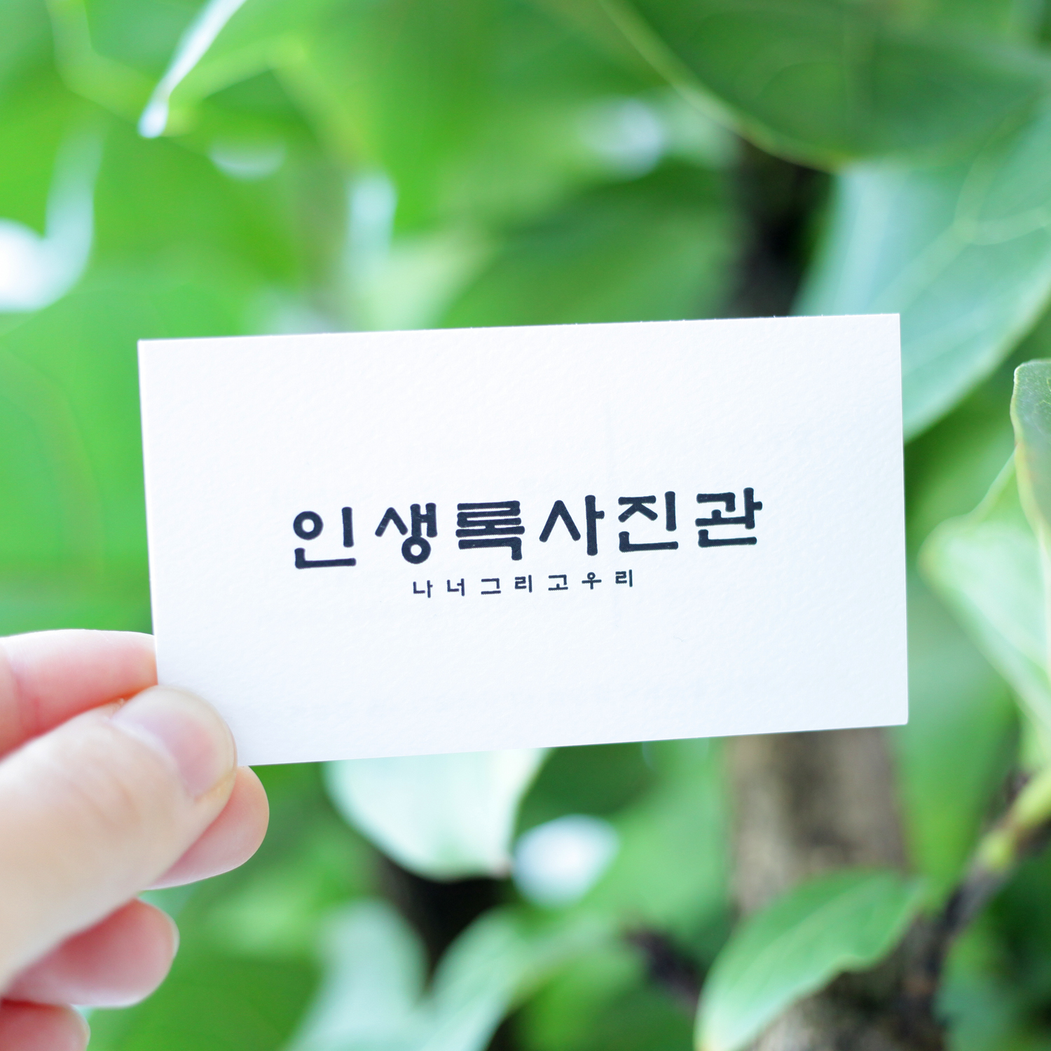 인생록사진관