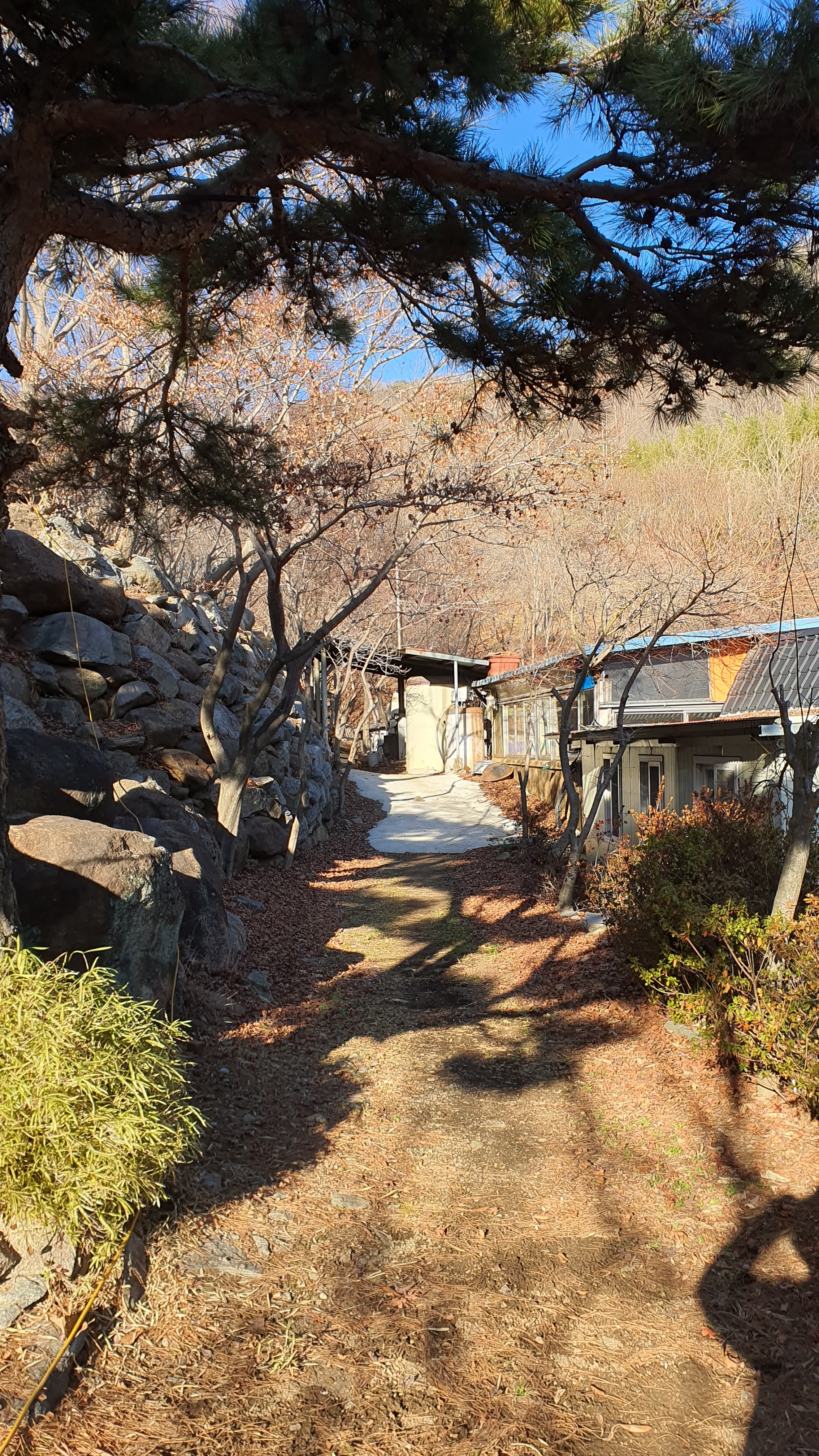연화산장