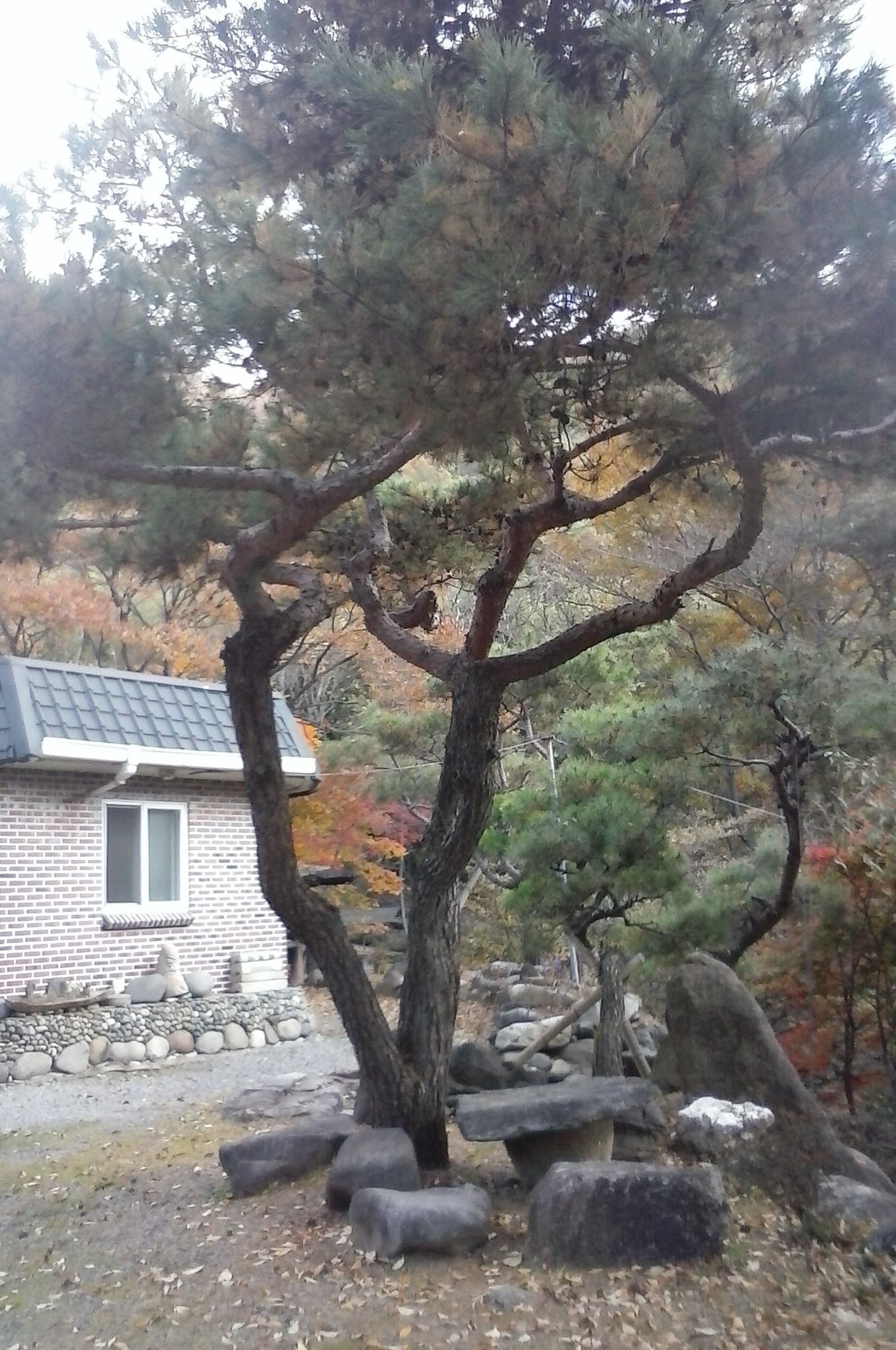 연화산장