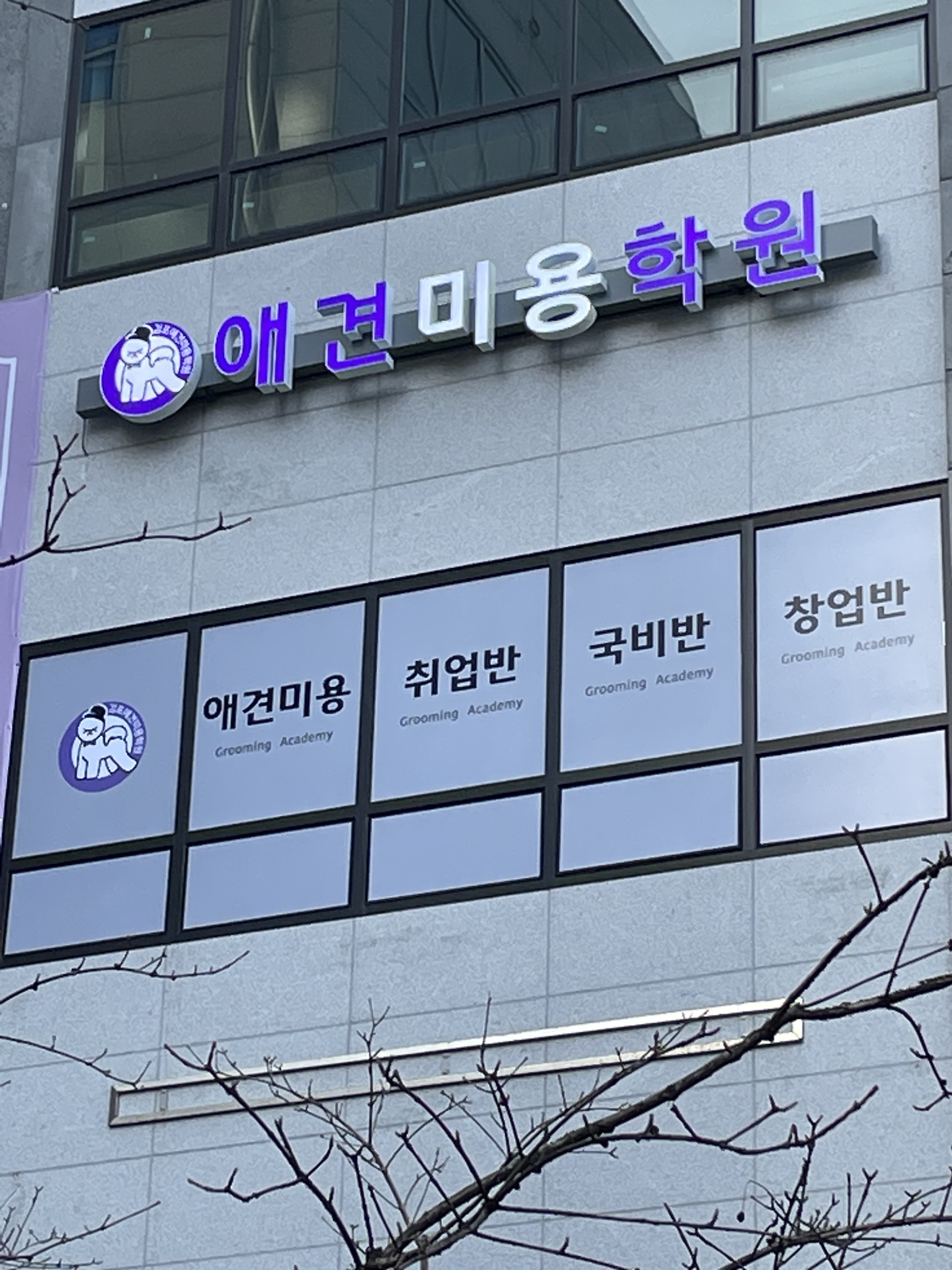 김포애견미용학원