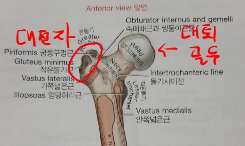 바른몸 운동센터