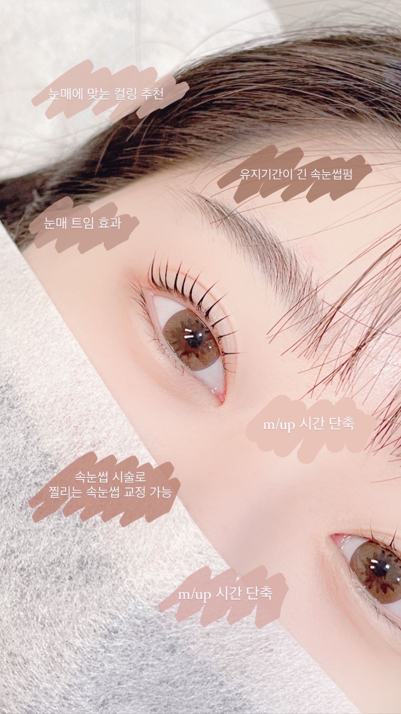 서이로움