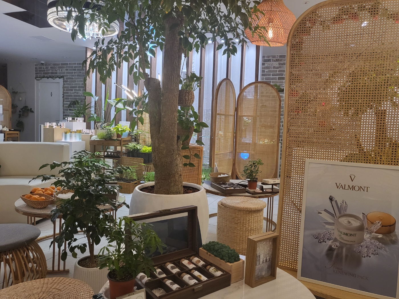 더숲아로마앤테라피