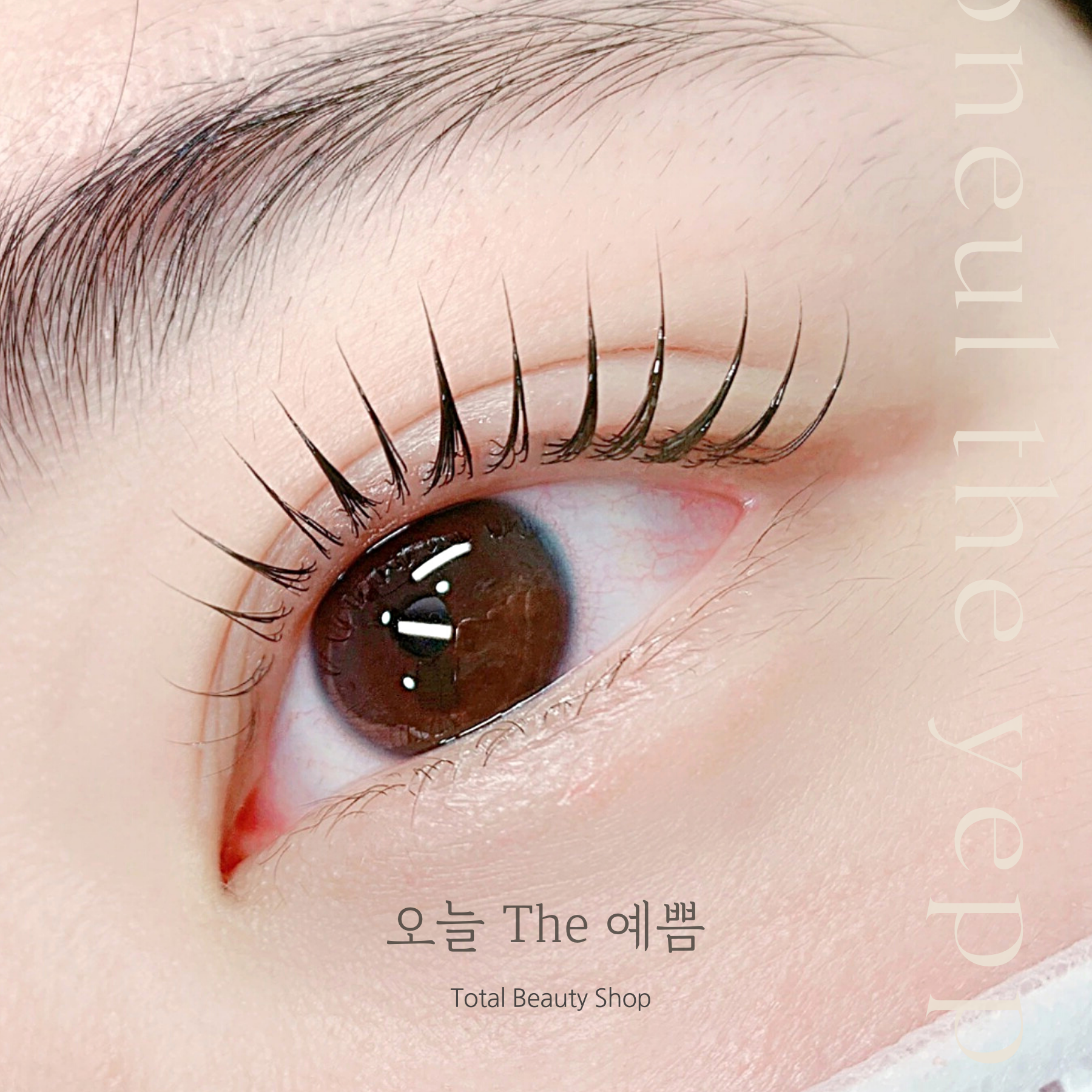 오늘The예쁨