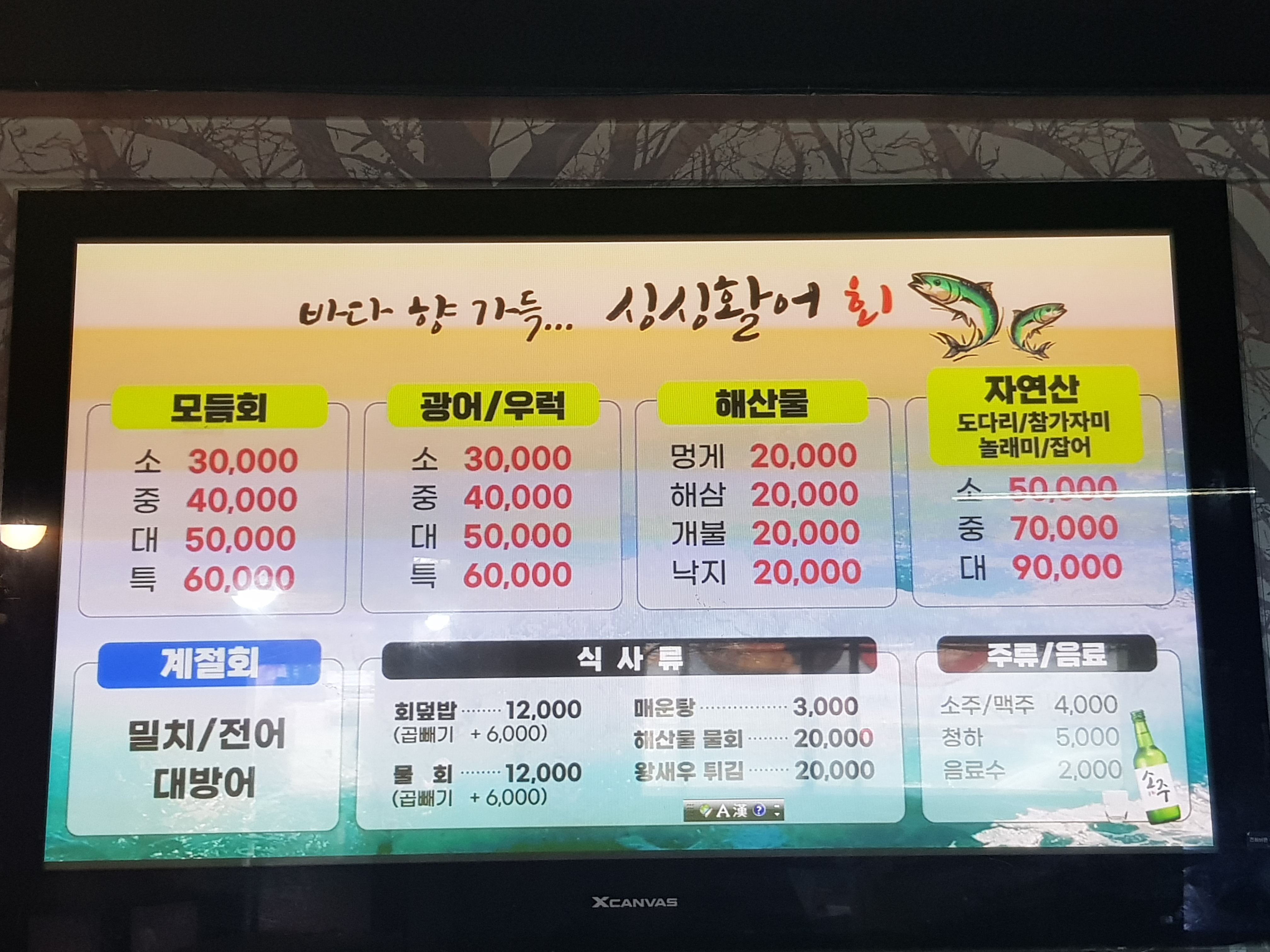 싱싱활어회