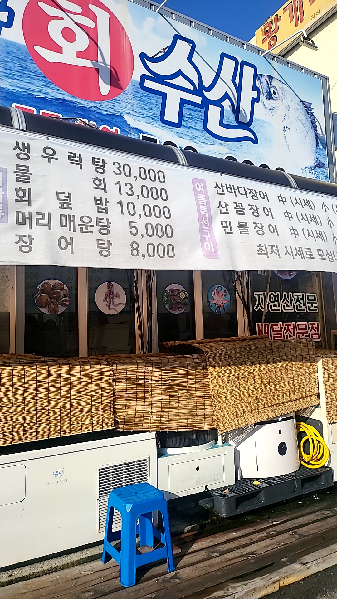 팔팔바다회수산