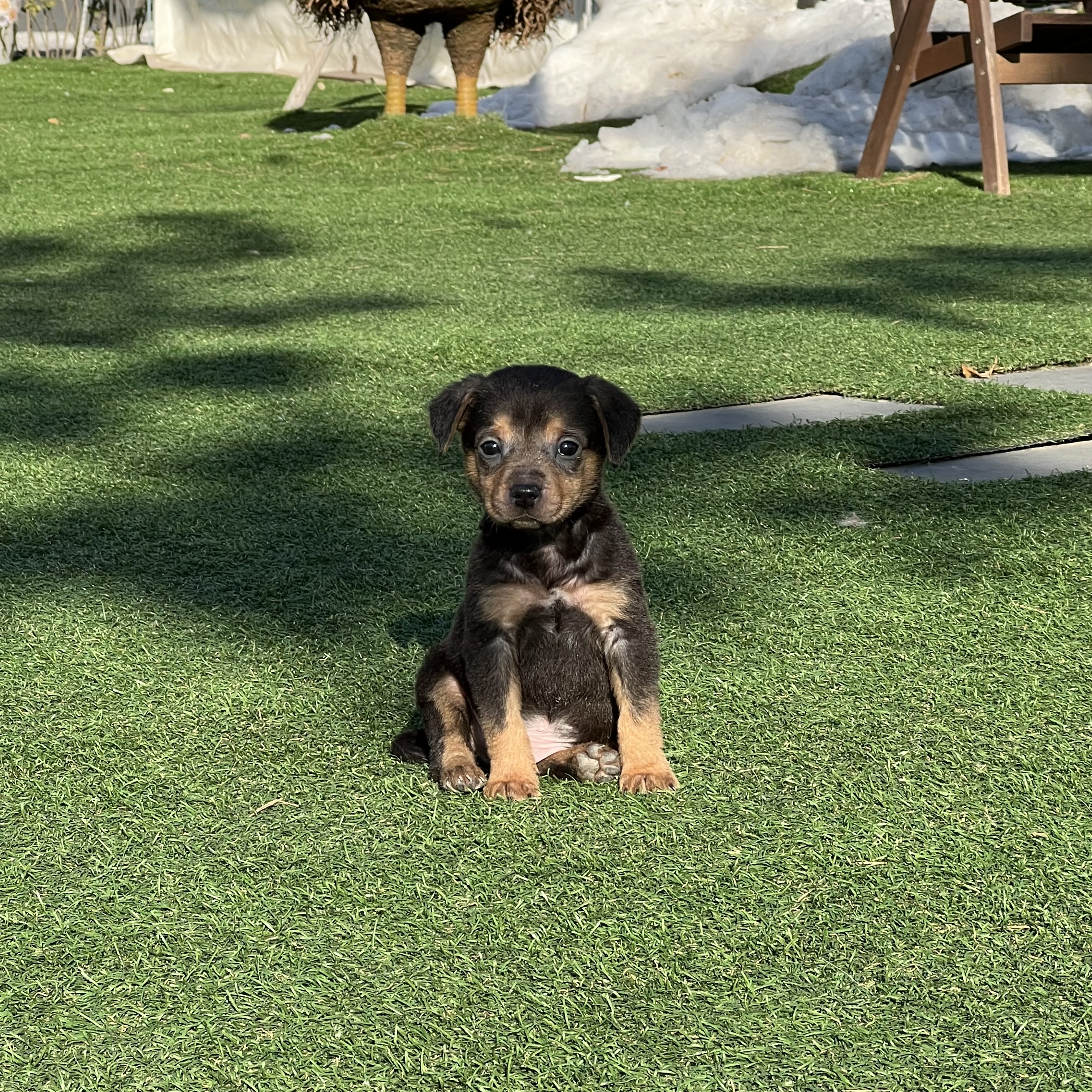 멍자네 대표 이미지