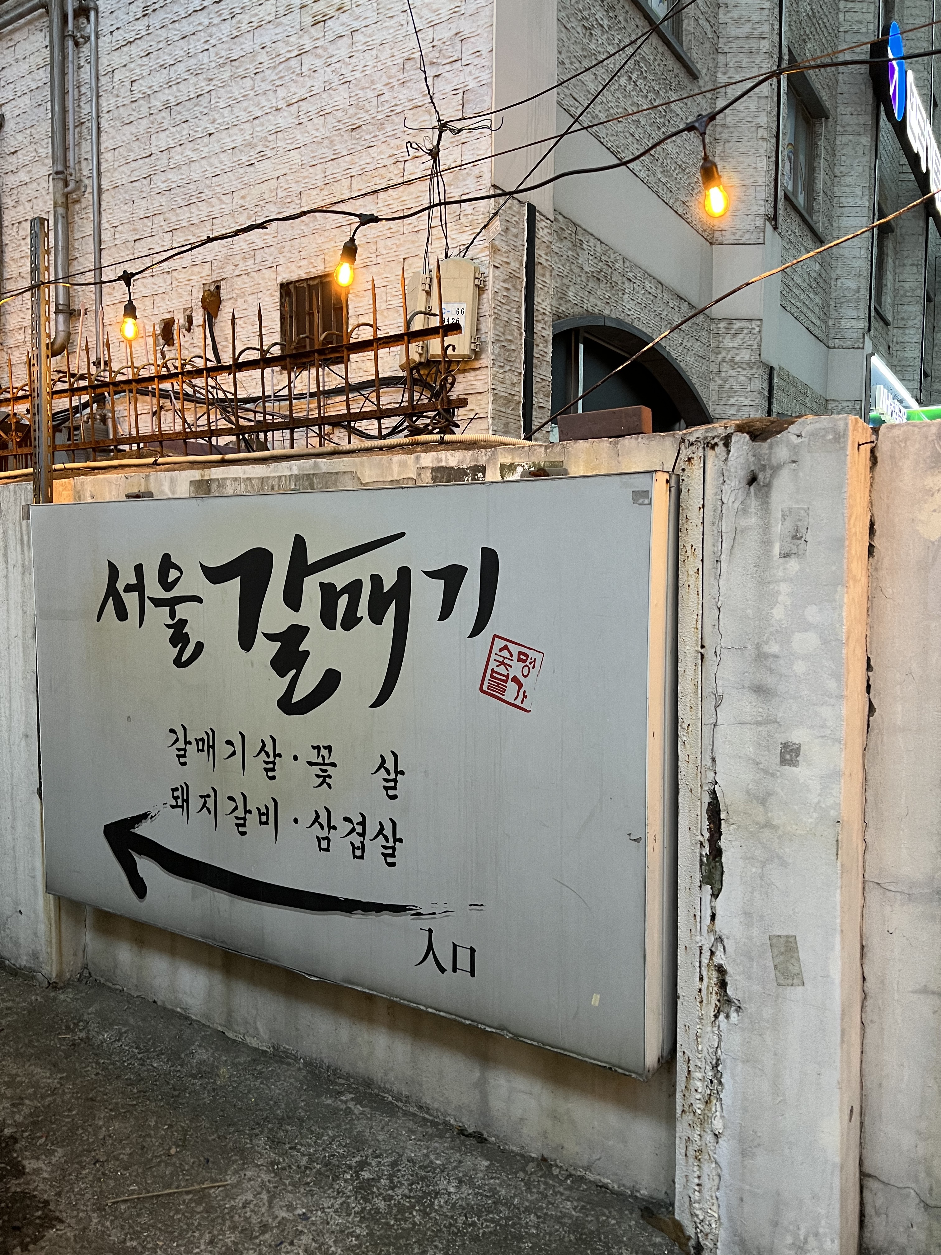 서울갈매기