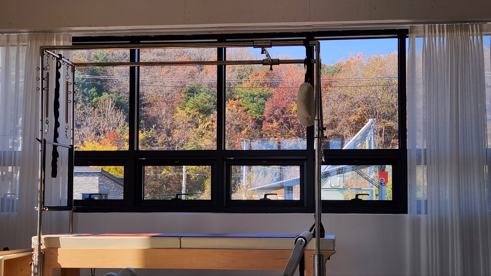 필라테스 봄 대표 이미지