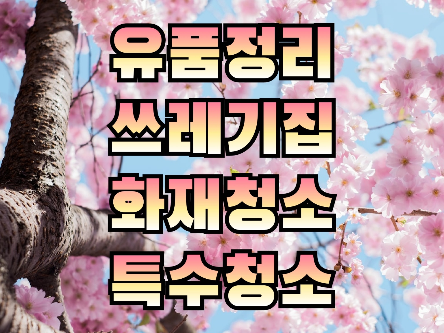특수청소