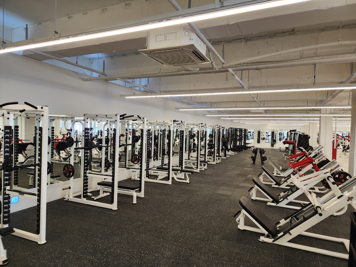 하프짐휘트니스 배다리점 대표 이미지