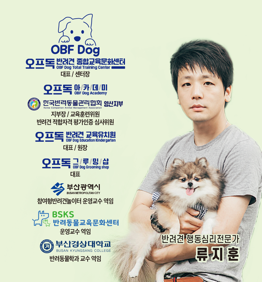 오프독 대표 이미지