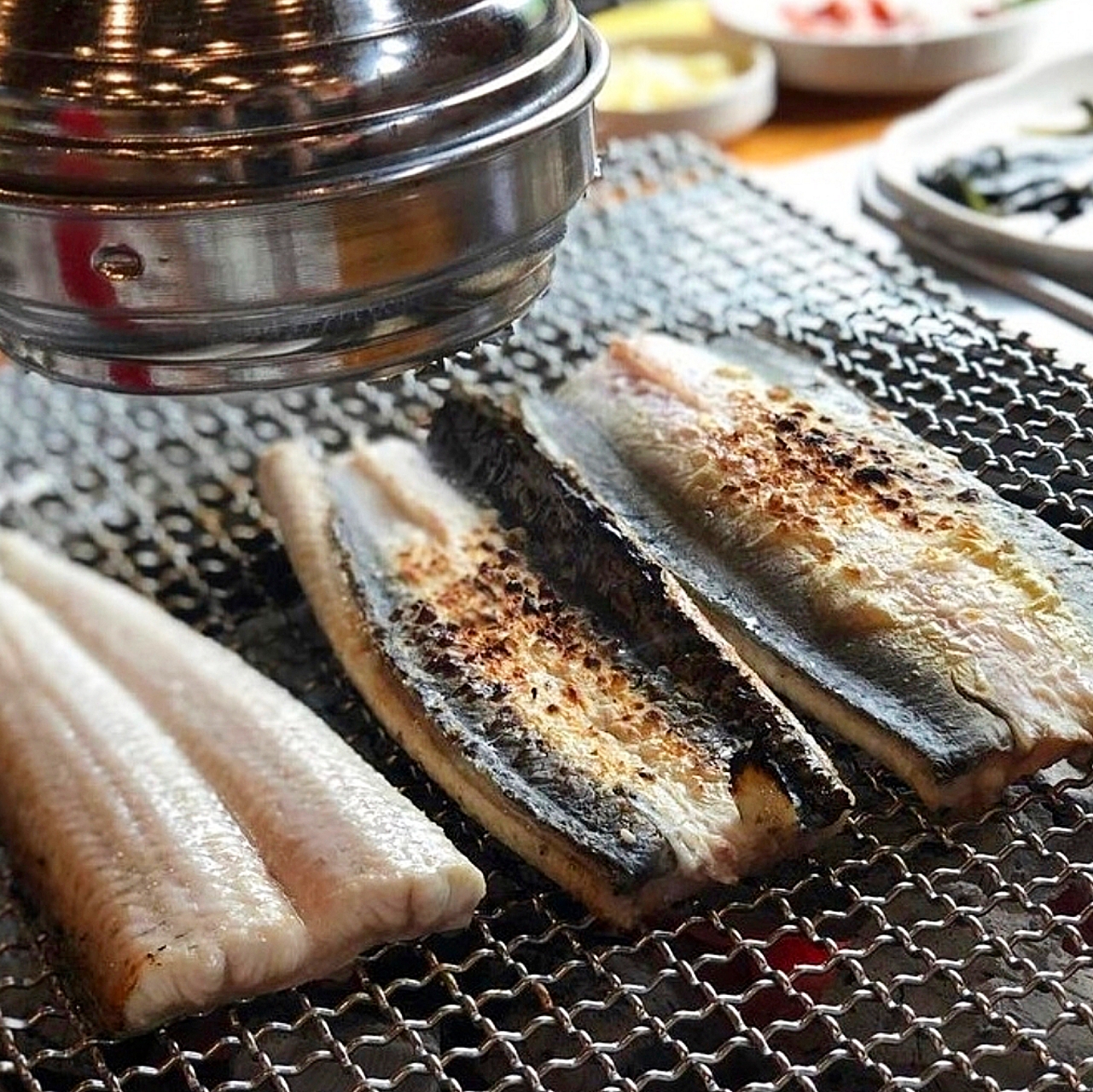 왕의장어
