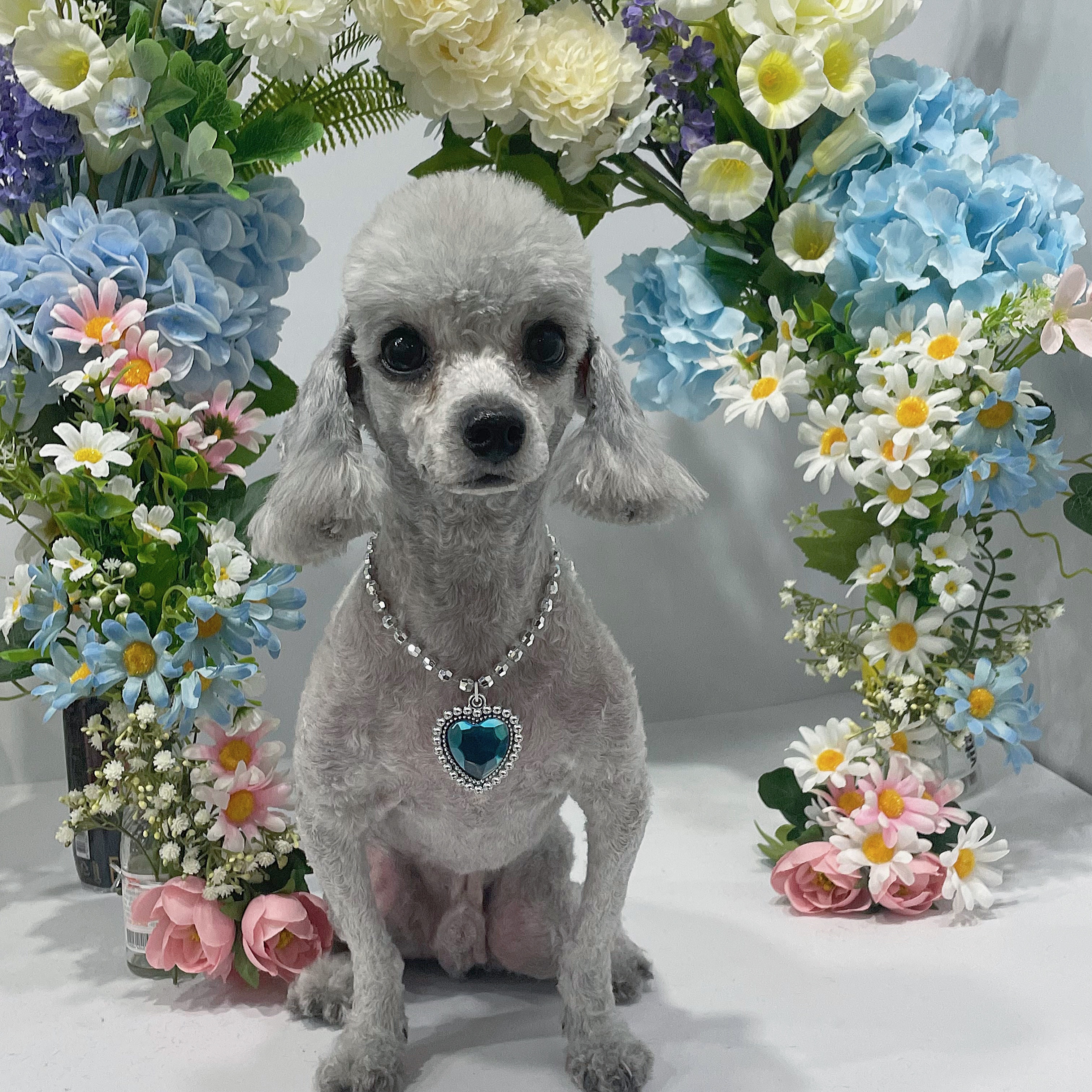 푸리미엄 대표 이미지