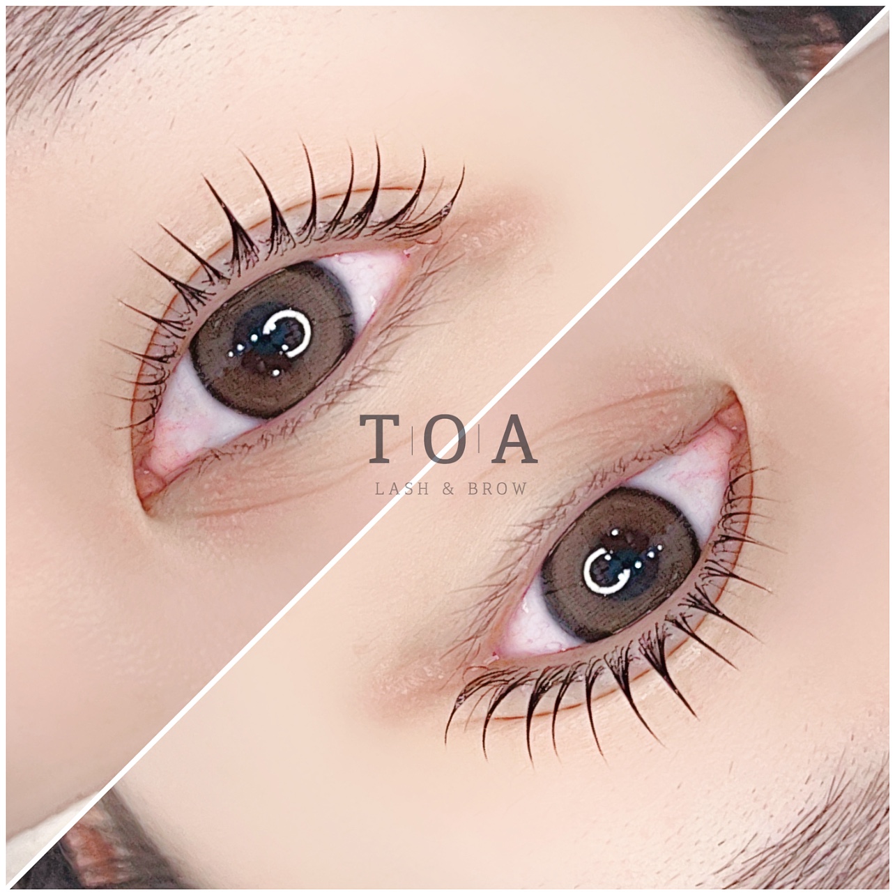 토아 대표 이미지