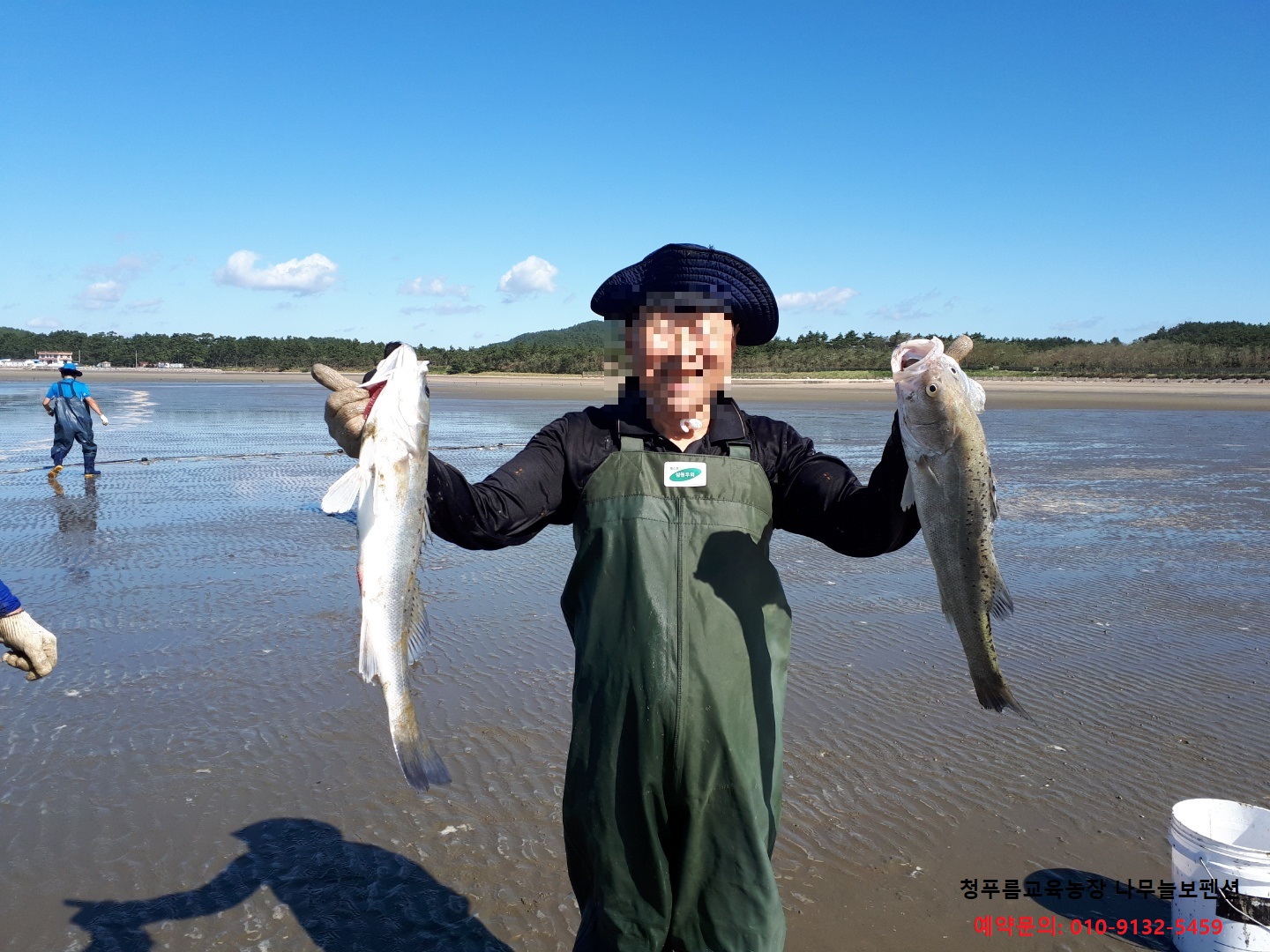 퍼플섬 나무늘보펜션 2