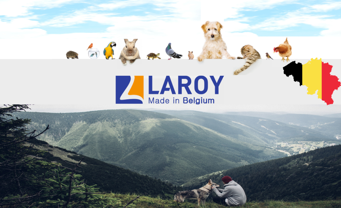 라로이 대표 이미지