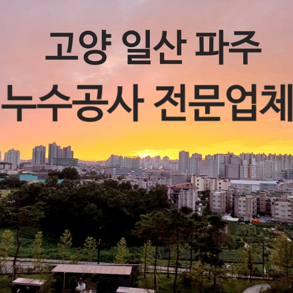 번개누수탐지배관누수탐사 아파트주택집빌라주방욕실화장실물샘