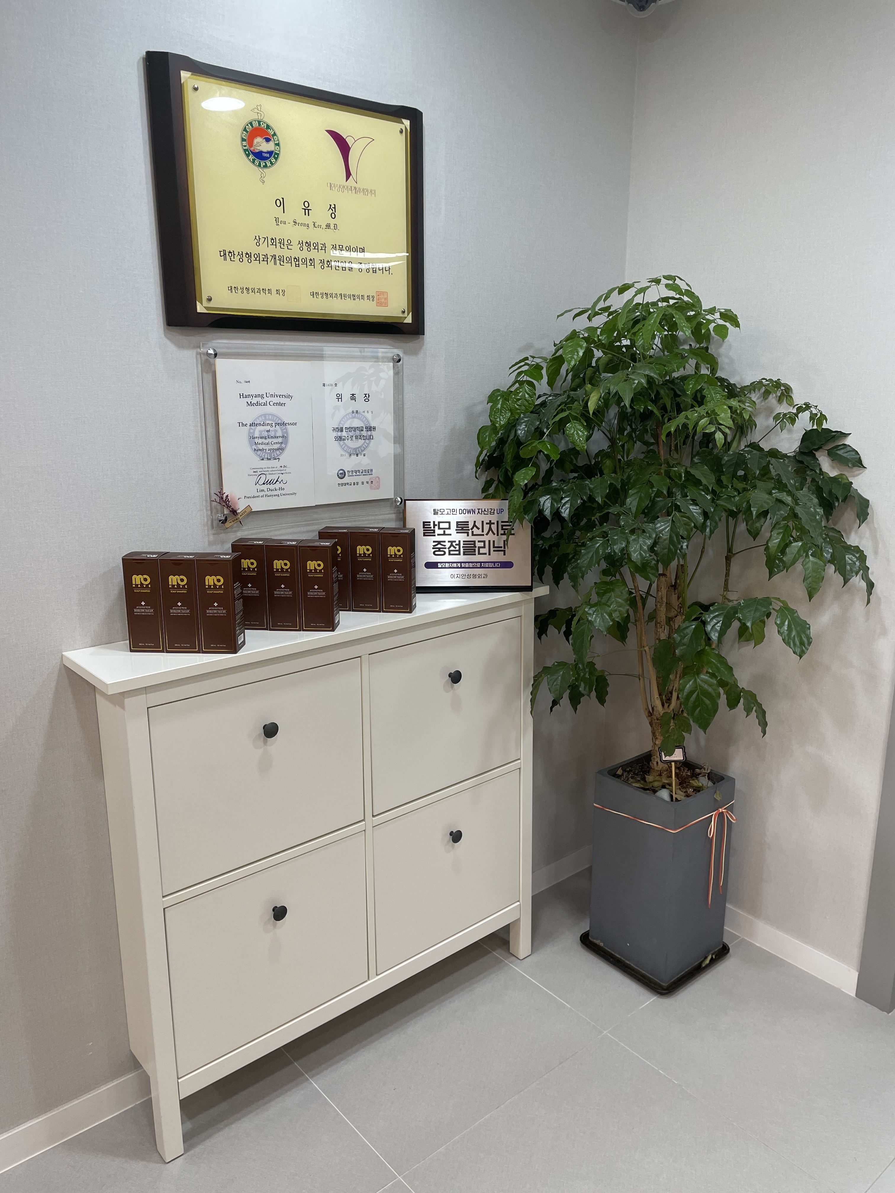 이지안성형외과의원 대표 이미지