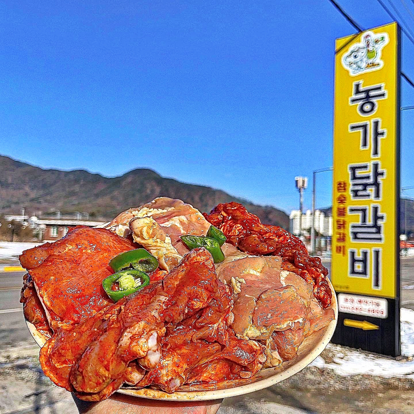 농가닭갈비 강원 애견맛집