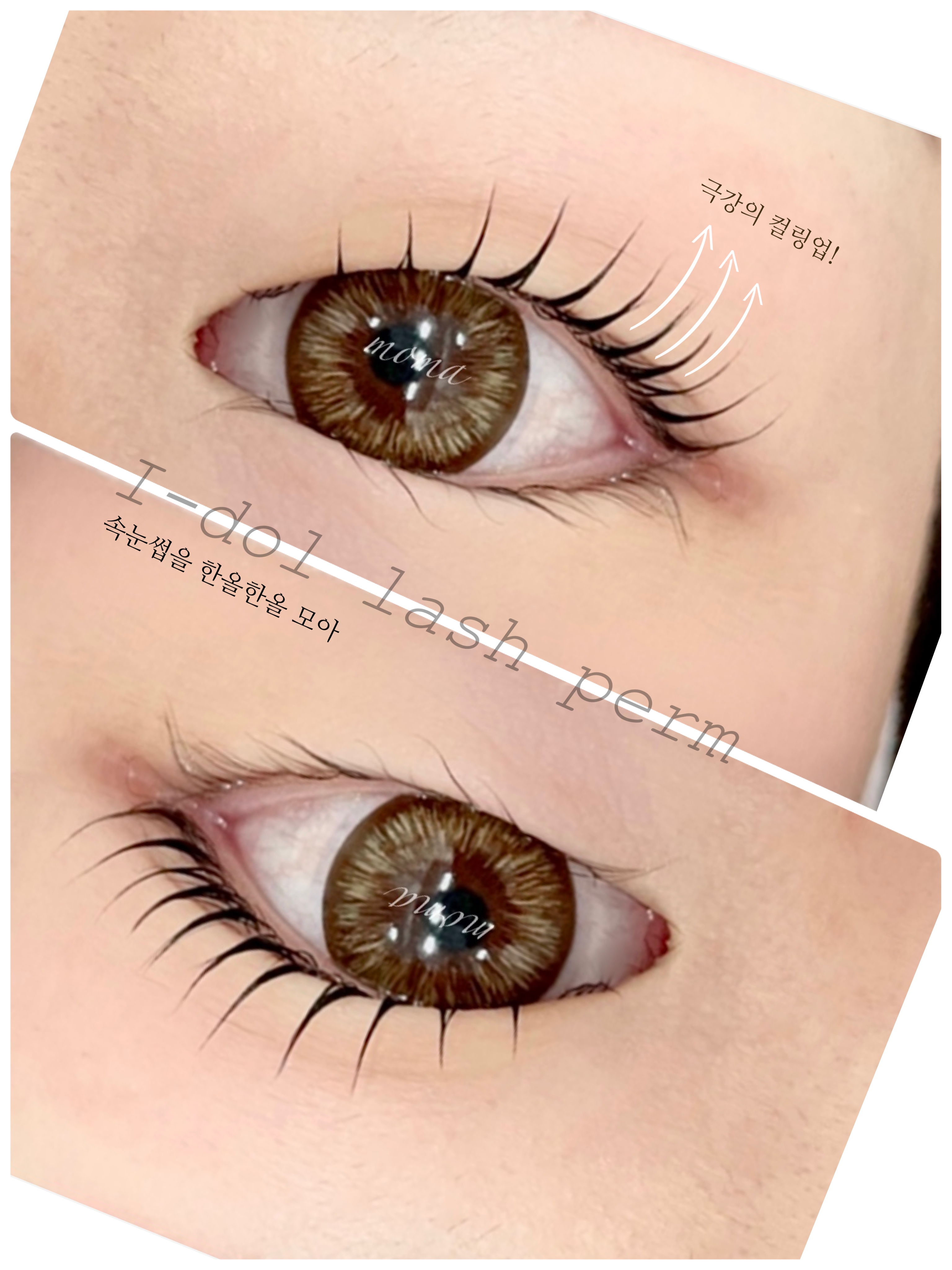 모마무드 속눈썹펌&눈썹 대표 이미지