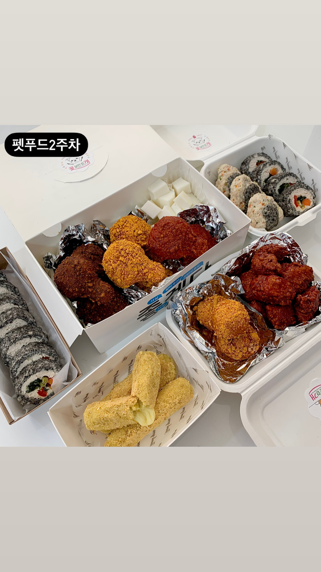 꽃길만걷개 사진 3