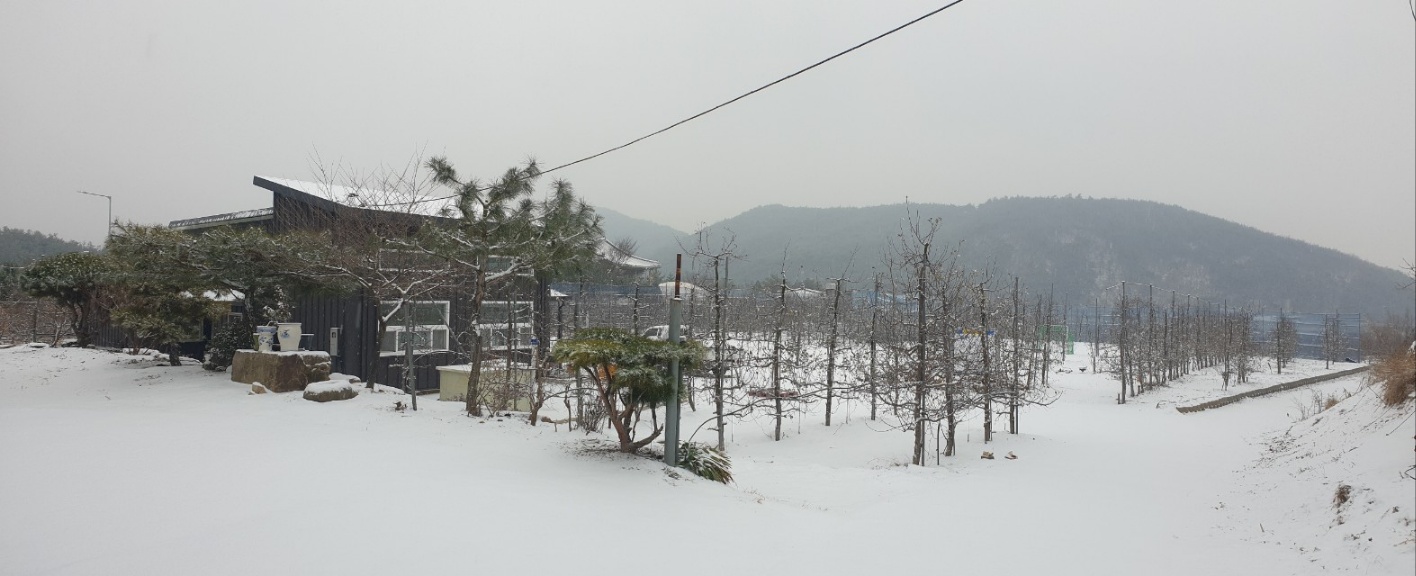 경안글로브