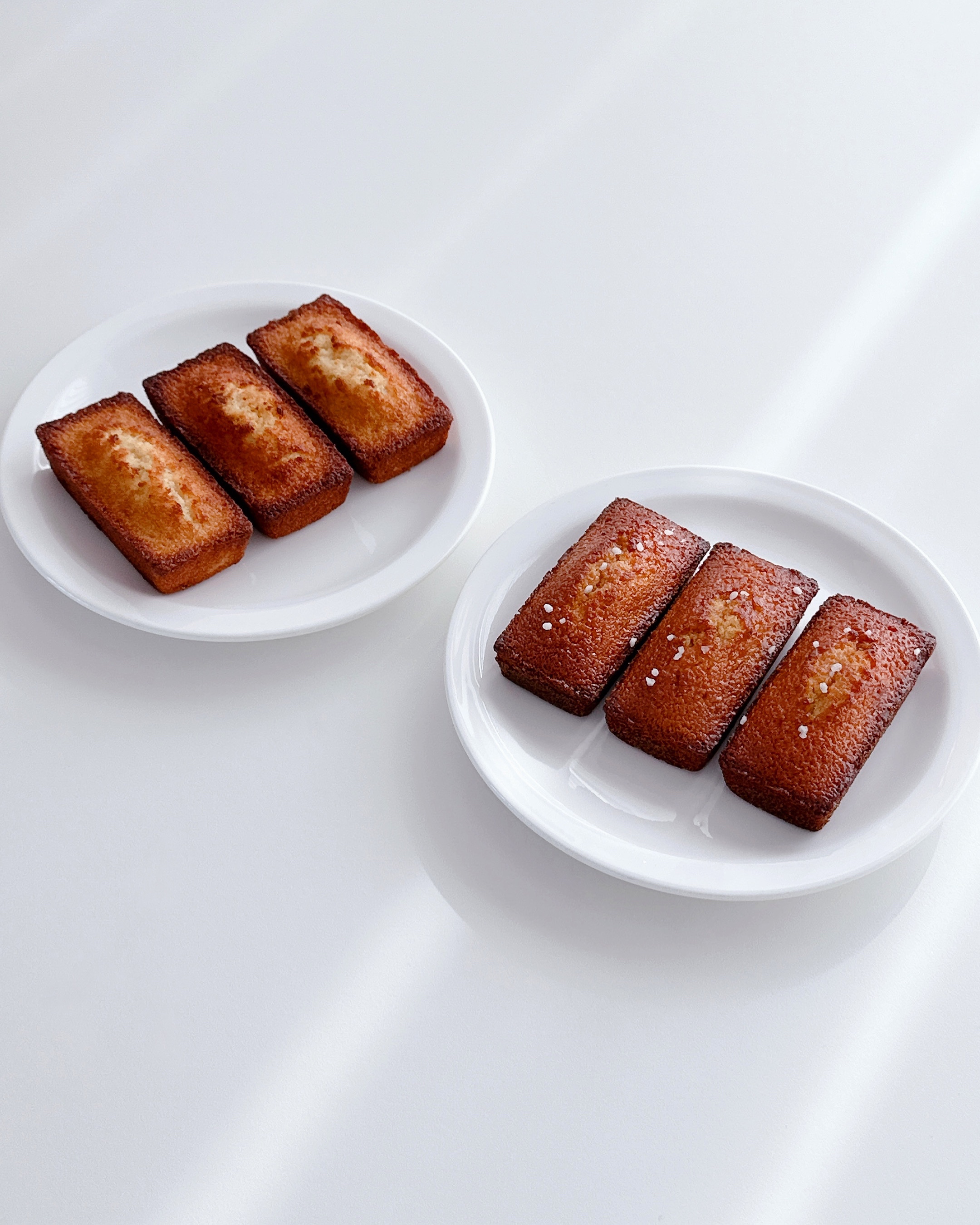 쇼트앤드 전라 애견맛집