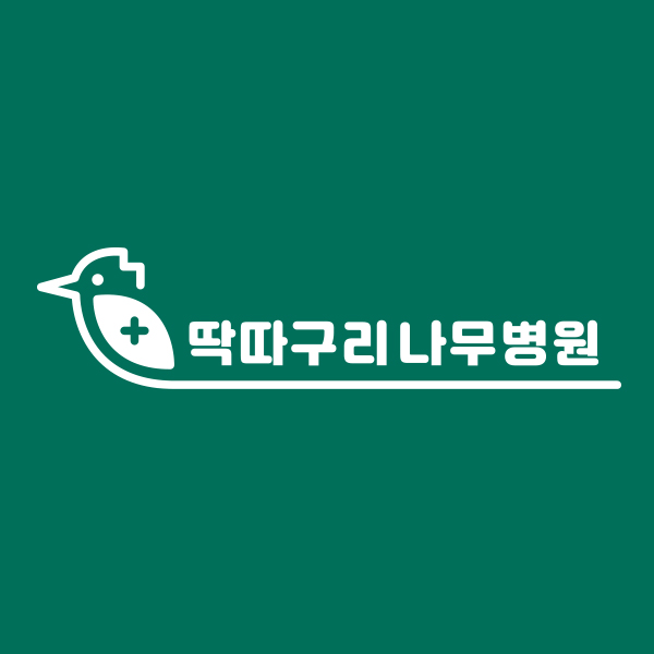 딱따구리나무병원