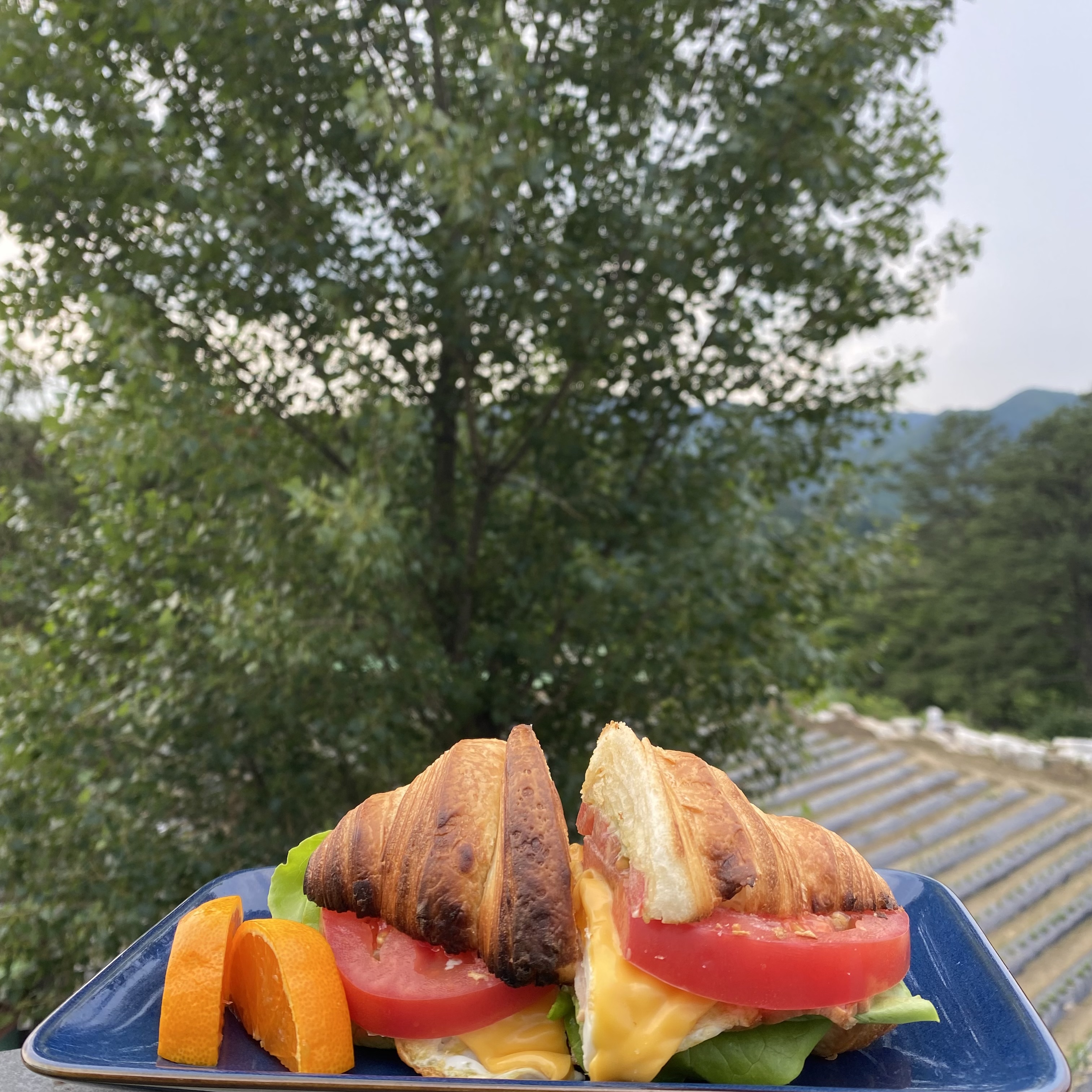 수작부리는카페 전라 애견맛집