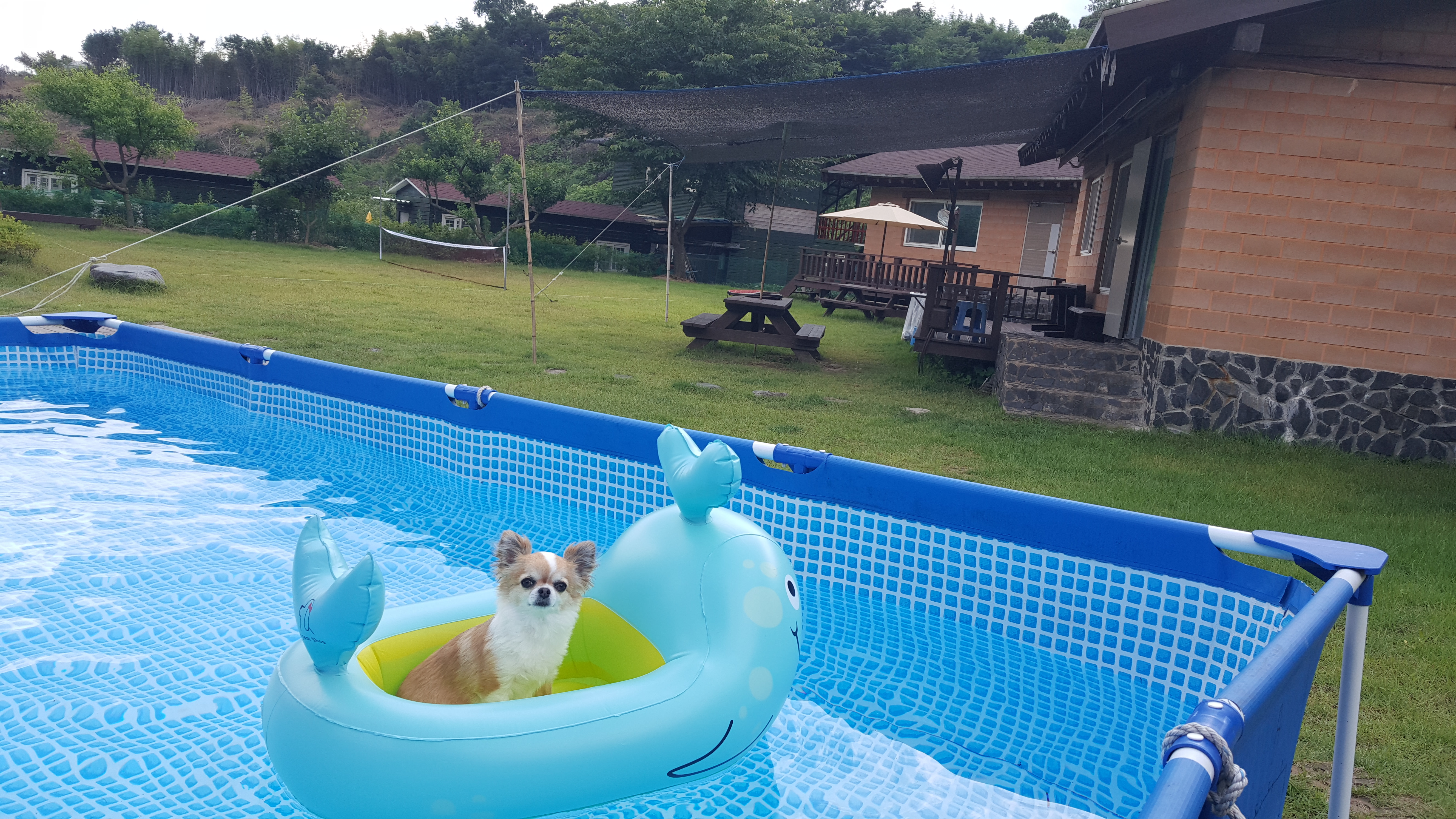 하동산수애수영장 독채펜션