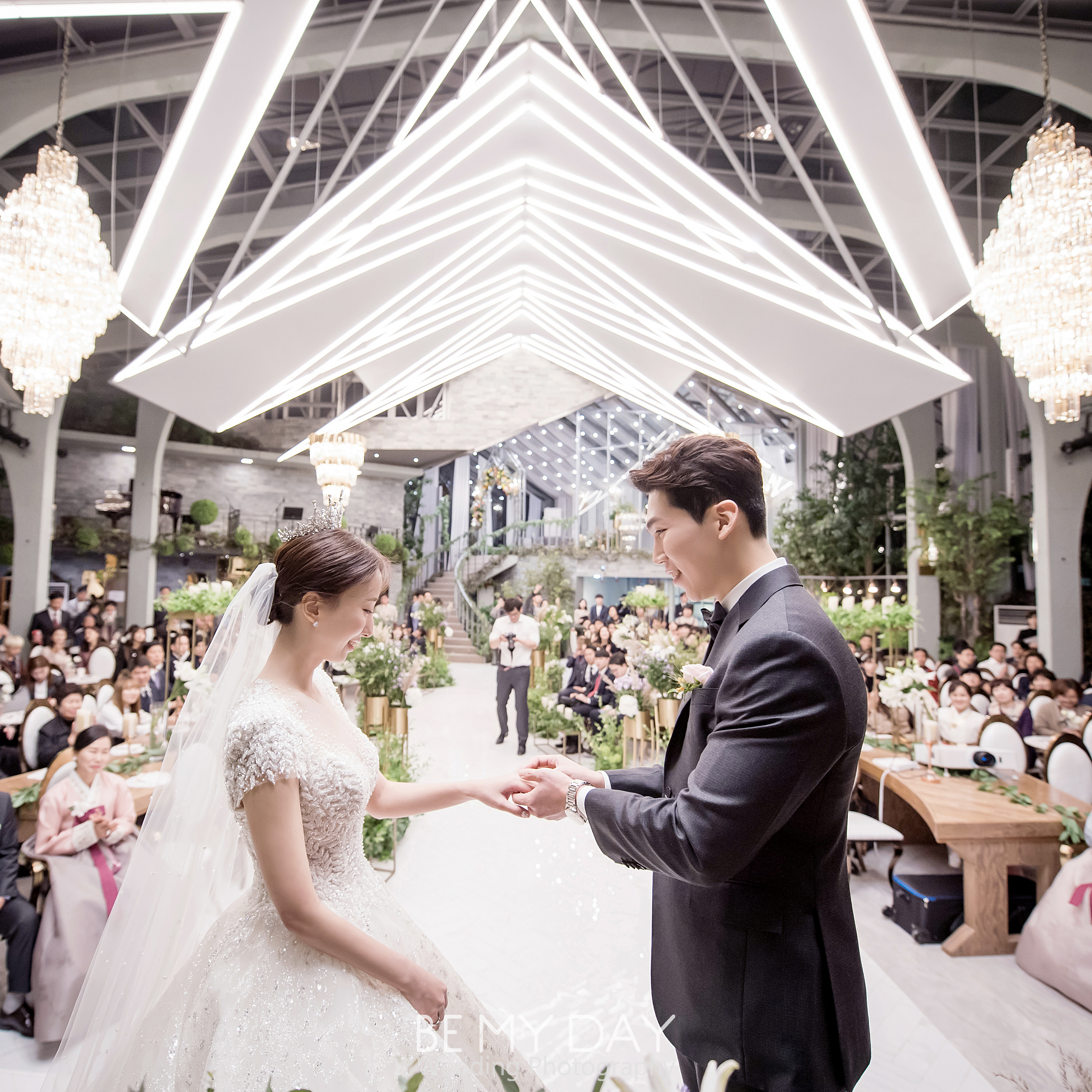 비마이데이 대표 이미지