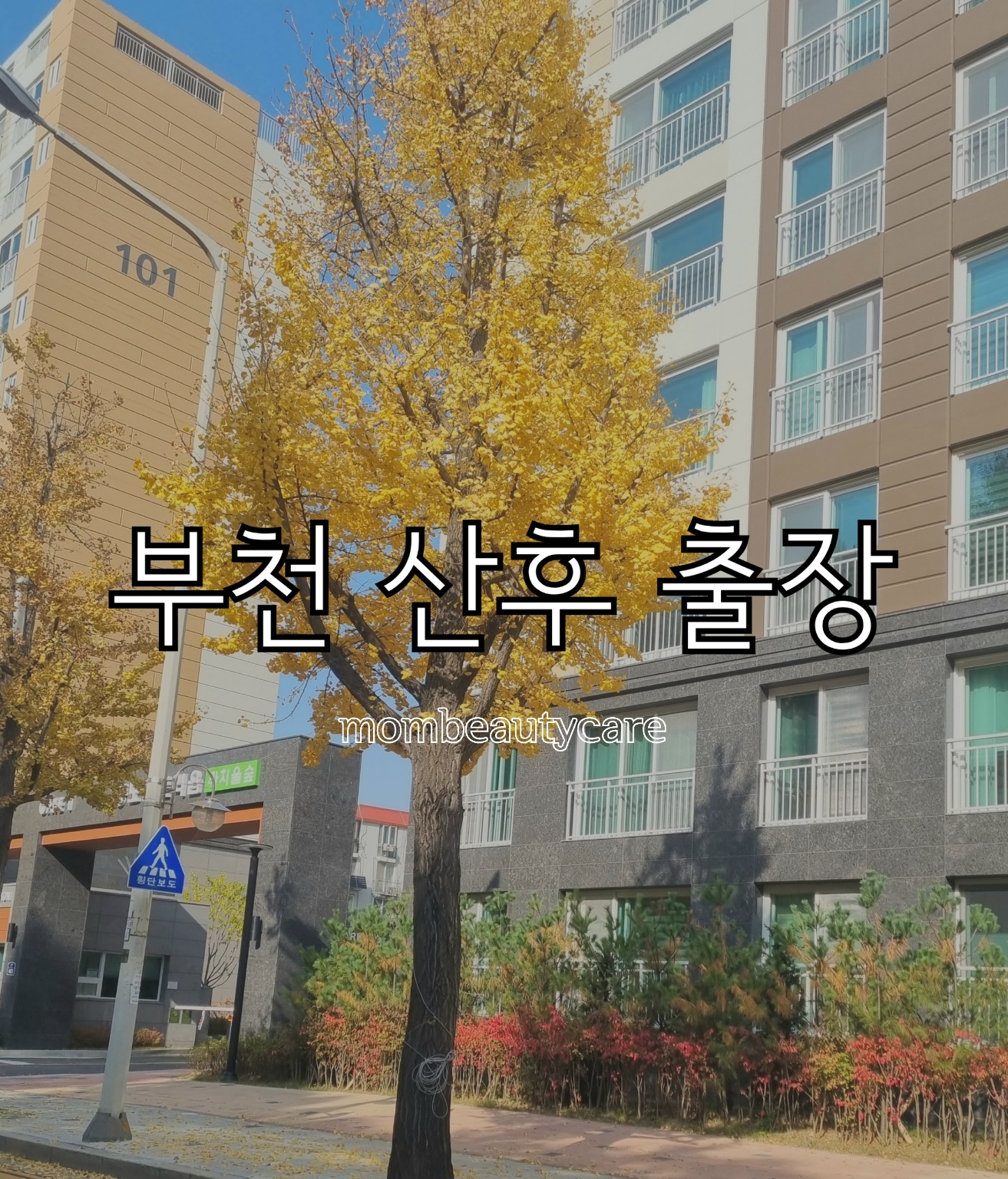 맘미케어